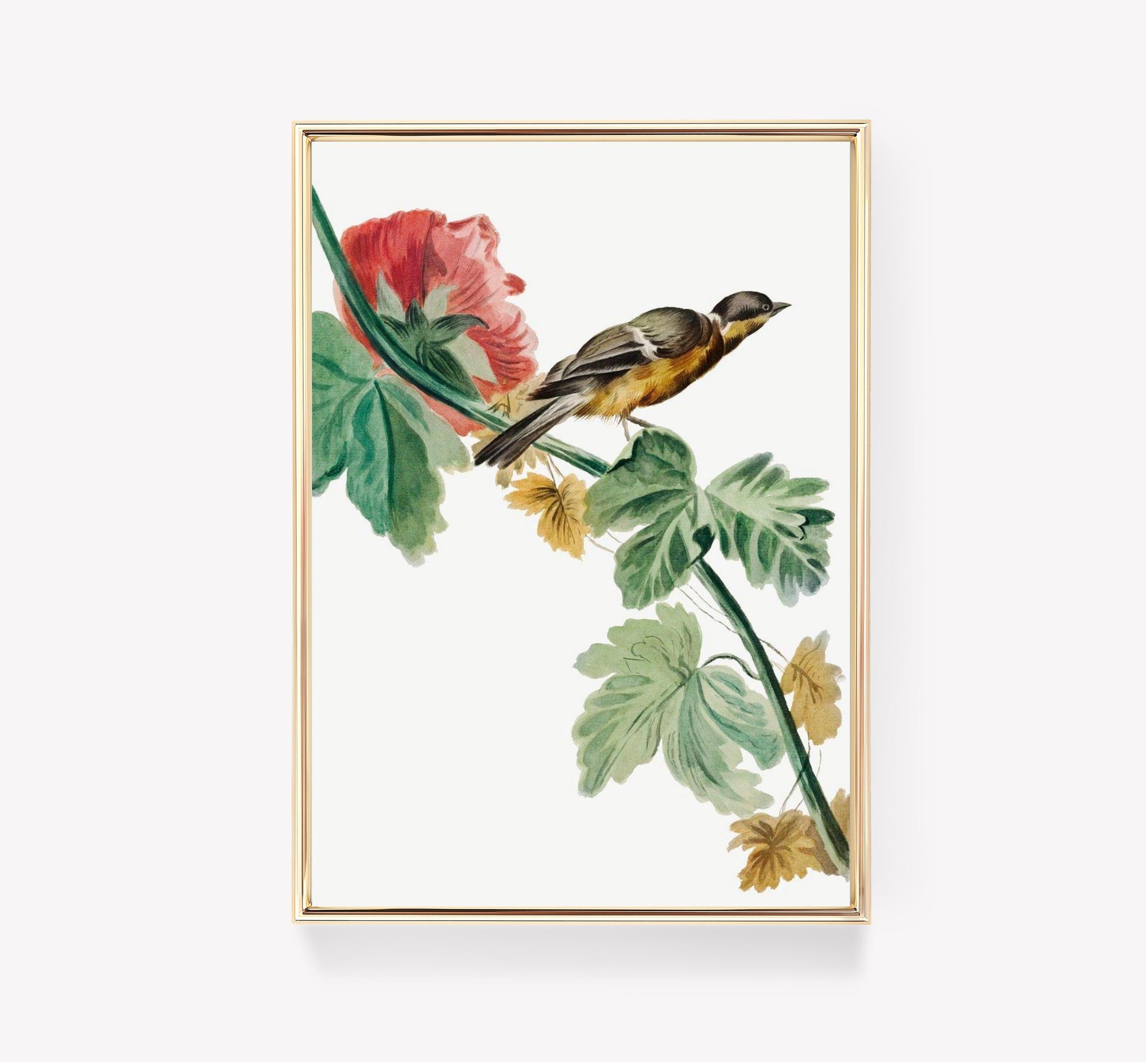 Bird Illustration Flower Art Awesome Poster (No Frame)