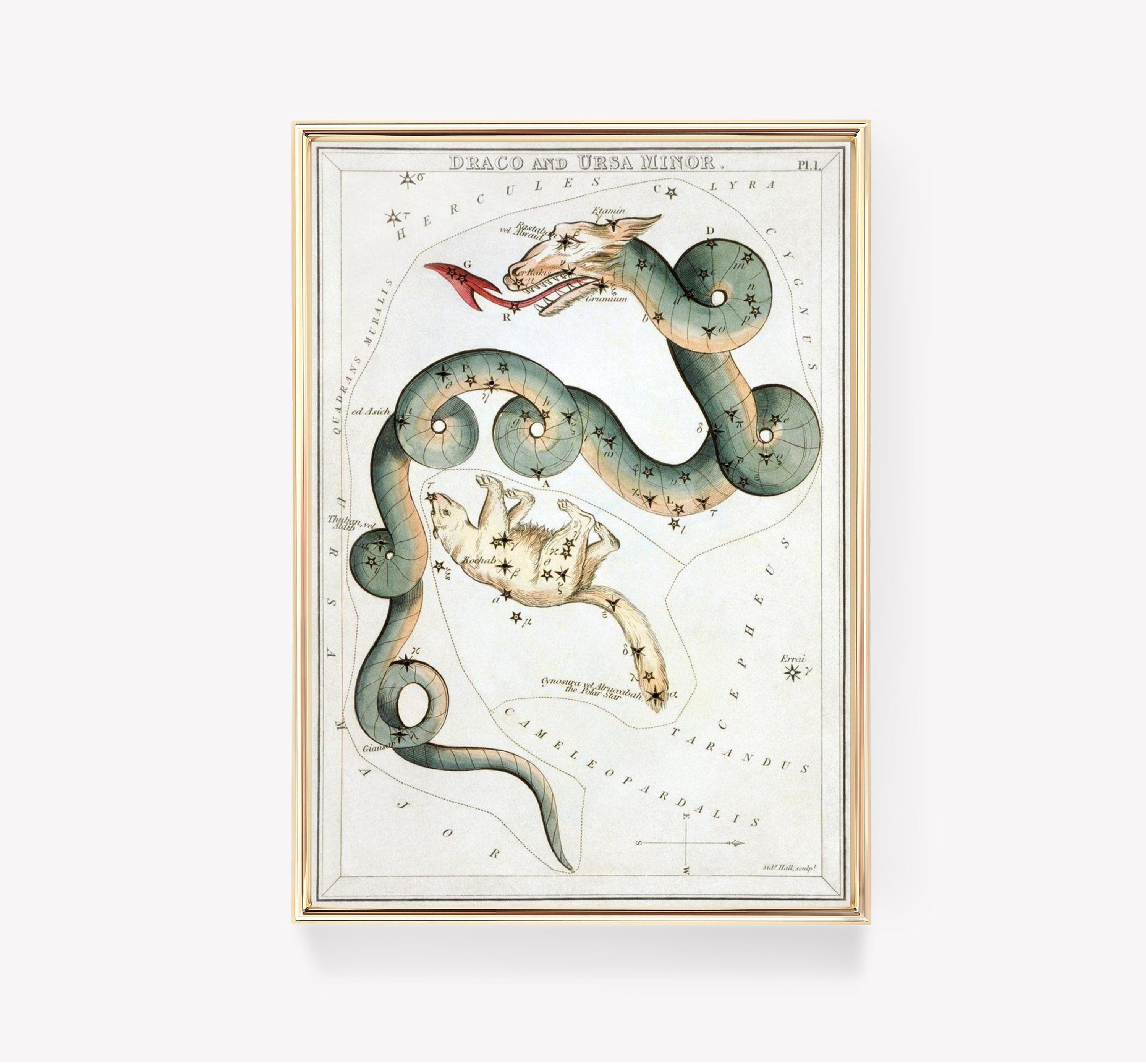 Draco Limited Edition Posters (No Frame)