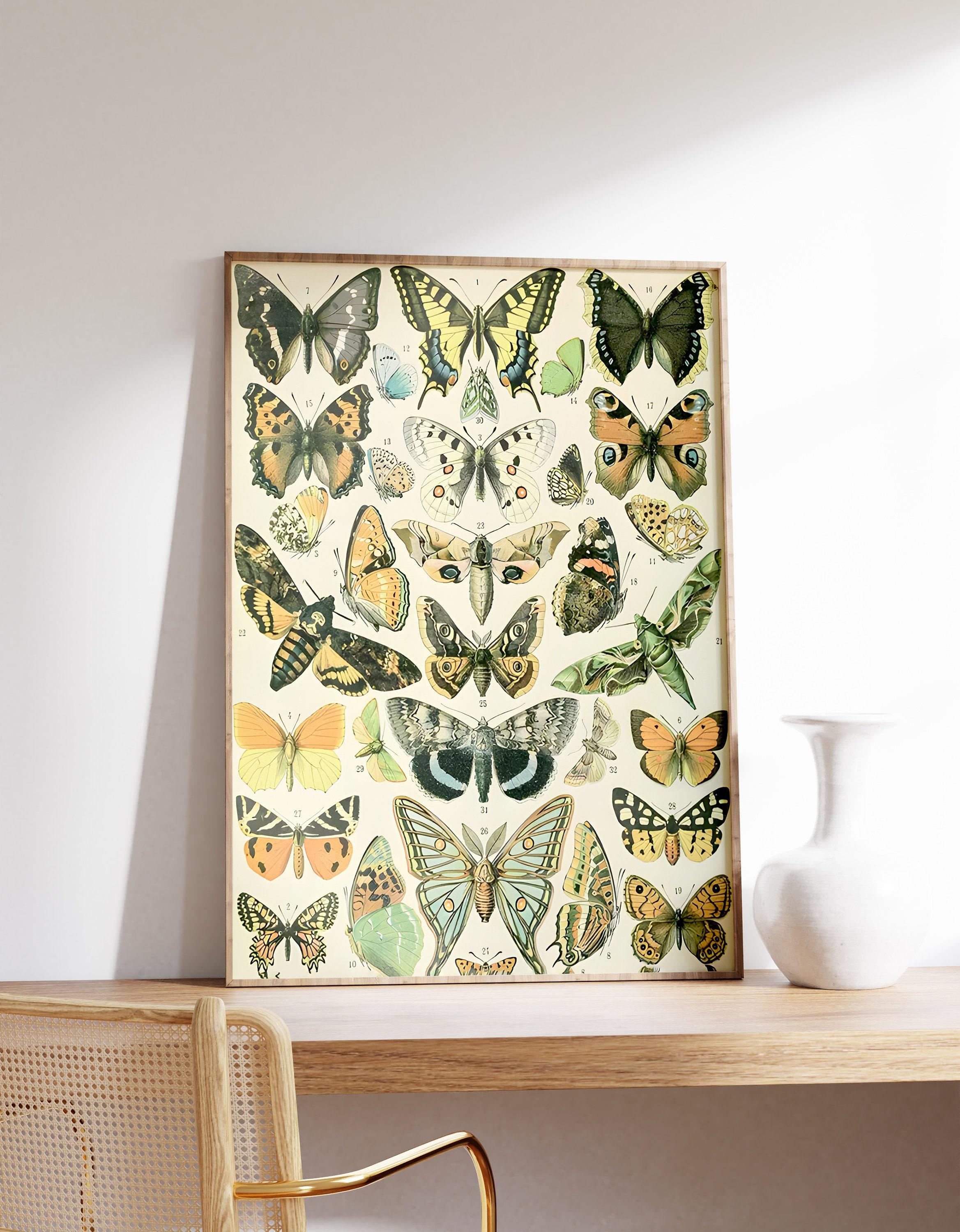 Papillons By Adolphe Millot Moth And Butterfly Art Cute Cottagecore Design Nature Limited Edition Posters (No Frame) Papillons By Adolphe Millot Moth And Butterfly Art Cute Cottagecore Design Nature Limited Edition Posters (No Frame)