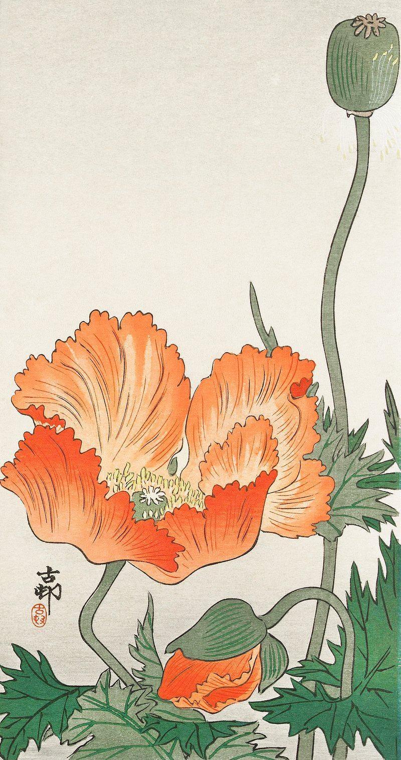 Red Poppies Art Ohara Koson Floral Awesome Poster (No Frame) Red Poppies Art Ohara Koson Floral Awesome Poster (No Frame)