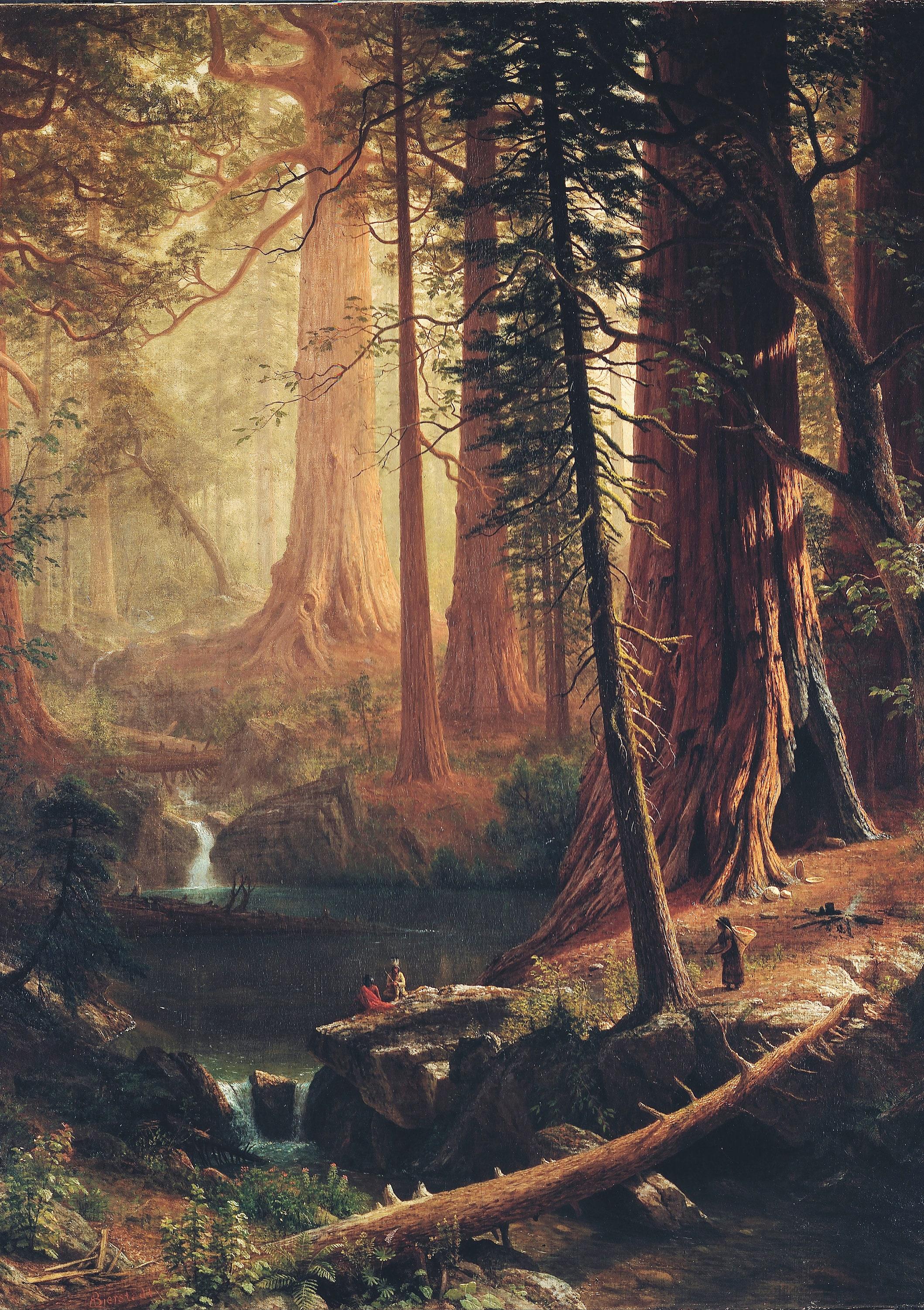 Redwood Forest By Albert Bierstadt California Awesome Poster (No Frame) Redwood Forest By Albert Bierstadt California Awesome Poster (No Frame)