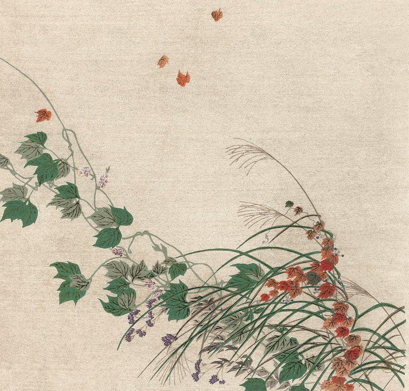 Sesshu Toyo Art Vines And Grasses Awesome Poster (No Frame) Sesshu Toyo Art Vines And Grasses Awesome Poster (No Frame)
