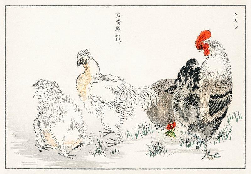 Vintage Chicken Art Takahashi Bih Trending Style Poster (No Frame) Vintage Chicken Art Takahashi Bih Trending Style Poster (No Frame)
