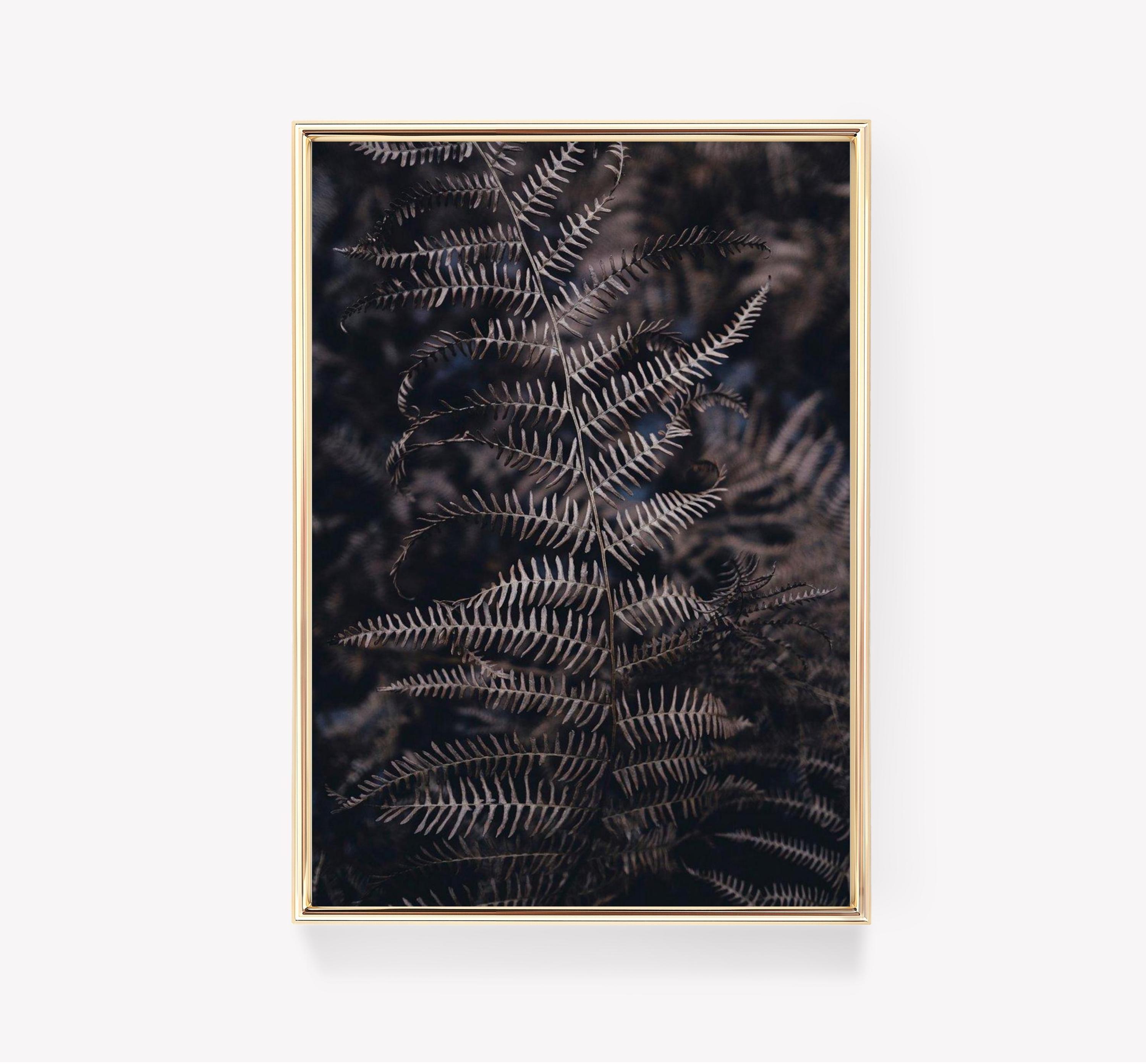 Brown Fern Leaves Vintage Leaf Trending Style Poster (No Frame) Brown Fern Leaves Vintage Leaf Trending Style Poster (No Frame)
