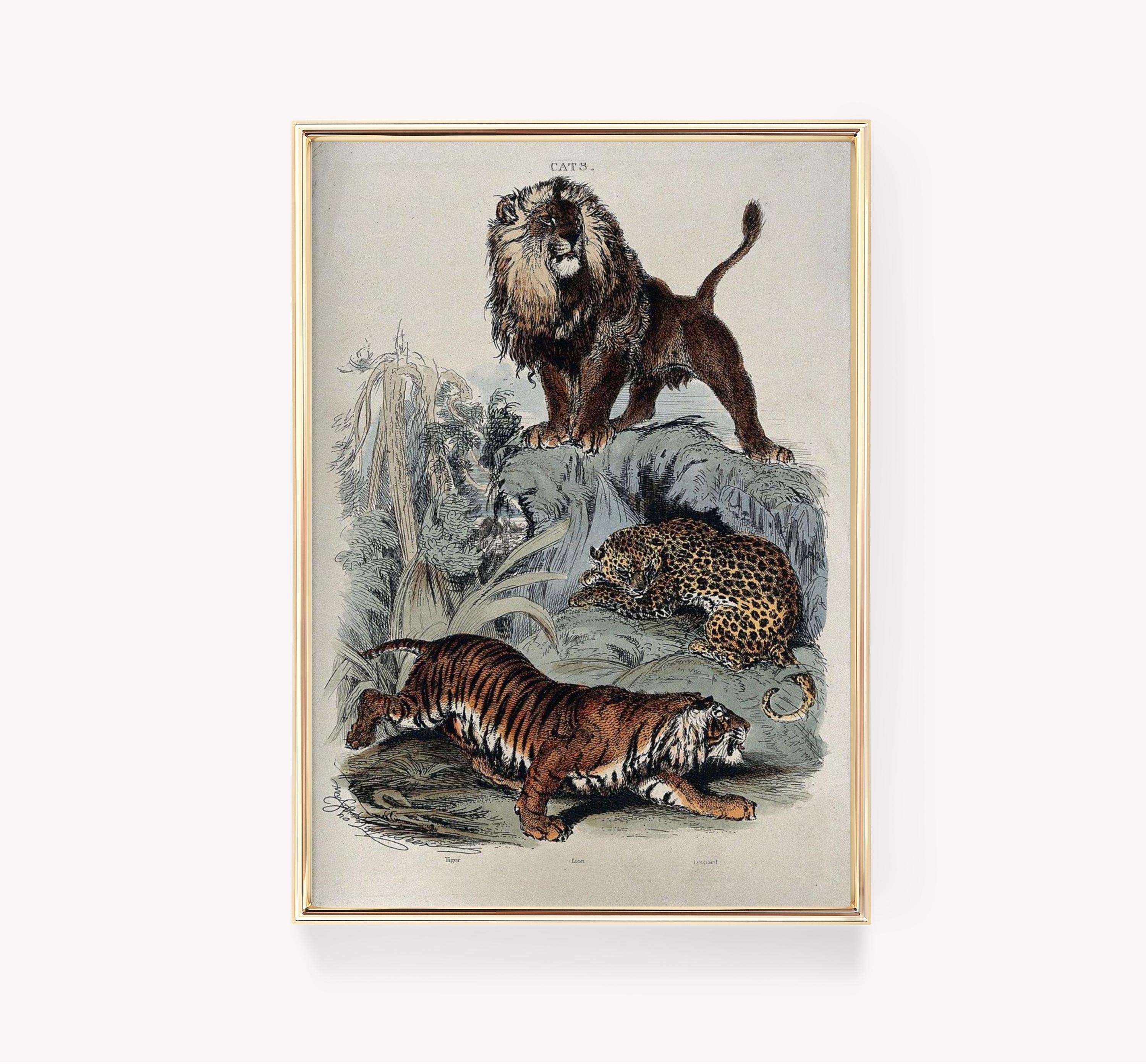 Lion 4 Awesome Poster (No Frame) Lion 4 Awesome Poster (No Frame)