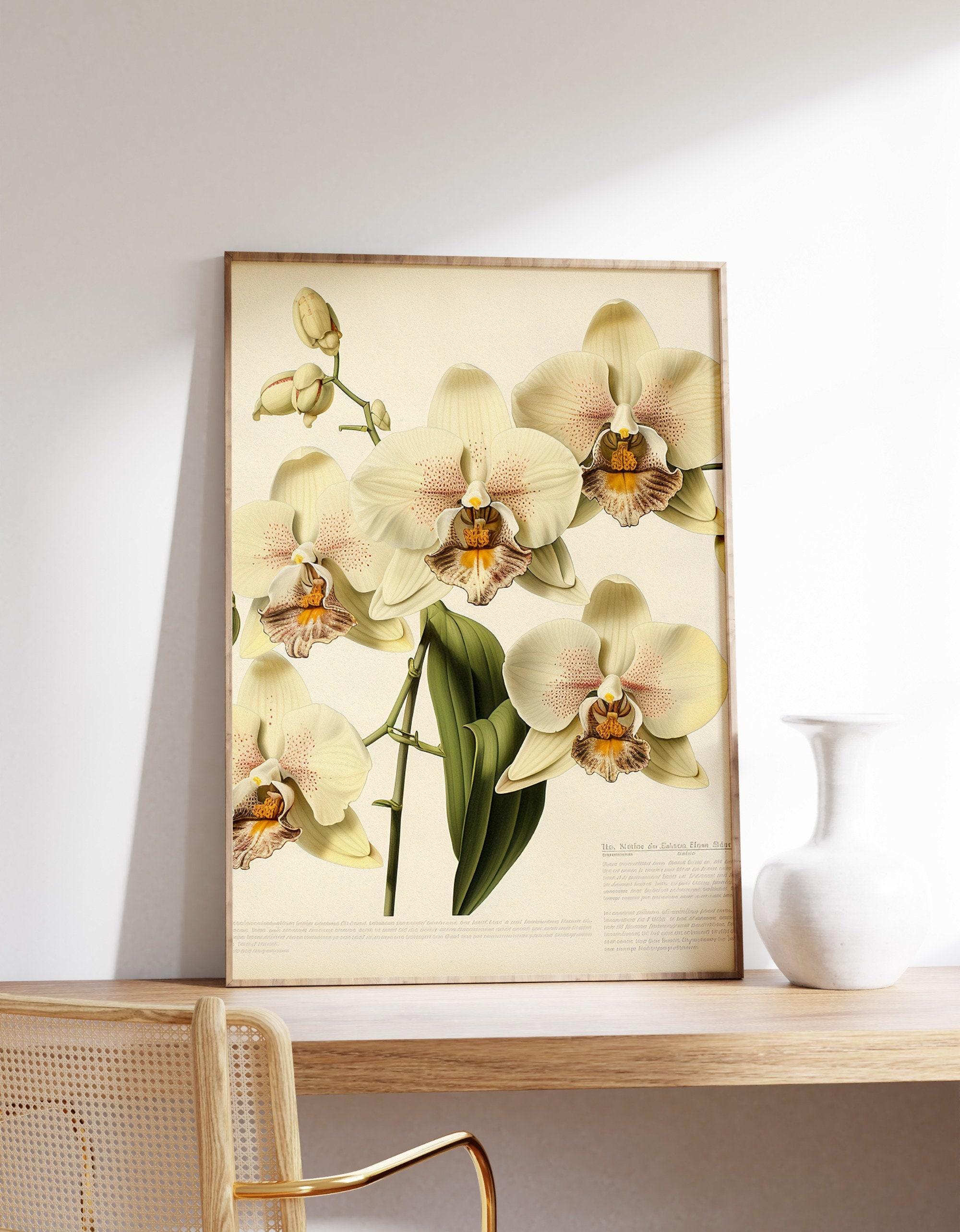 Orchid Cottagecore 2 Awesome Poster (No Frame) Orchid Cottagecore 2 Awesome Poster (No Frame)