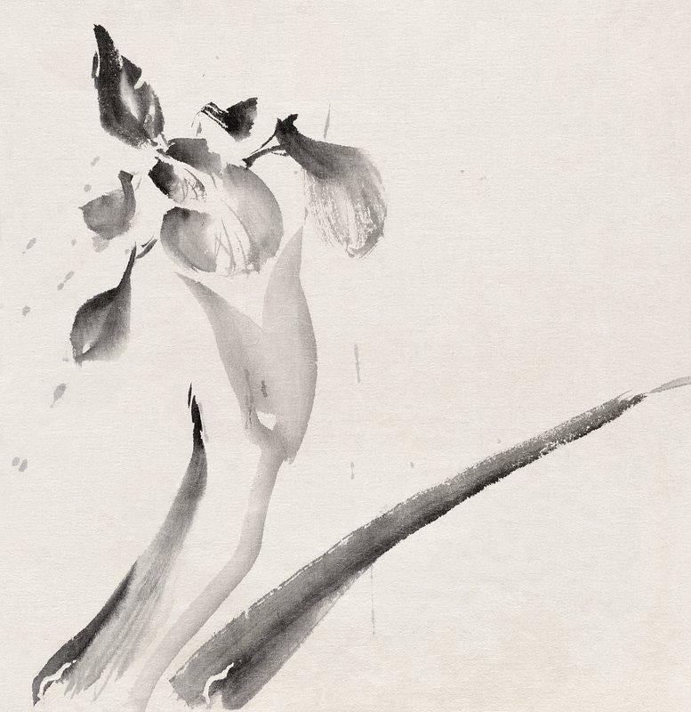 Shitao Ink Limited Edition Posters (No Frame) Shitao Ink Limited Edition Posters (No Frame)