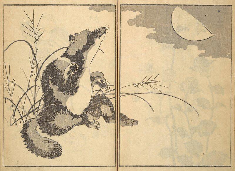 Tanuki And The Moon Hokusai Artwork Japanese Vintage Awesome Poster (No Frame) Tanuki And The Moon Hokusai Artwork Japanese Vintage Awesome Poster (No Frame)