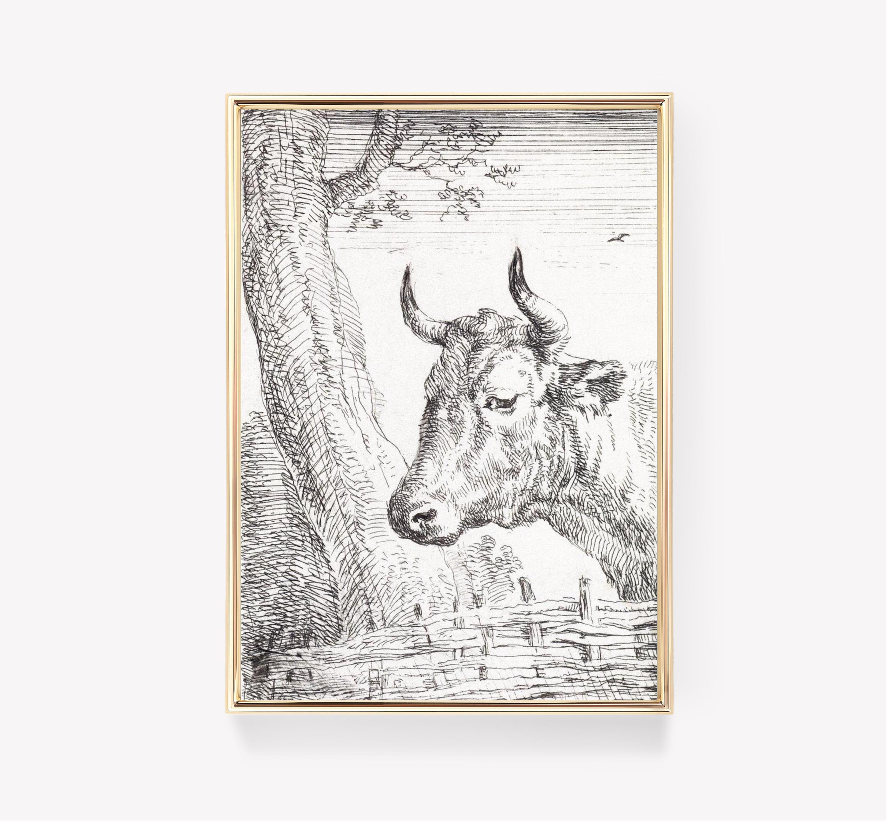 Thomas Bewick Illustration Cow Limited Edition Posters (No Frame) Thomas Bewick Illustration Cow Limited Edition Posters (No Frame)