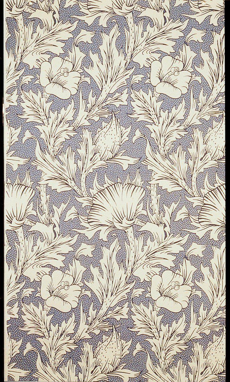 Vintage Seaweed Limited Edition Posters (No Frame) Vintage Seaweed Limited Edition Posters (No Frame)