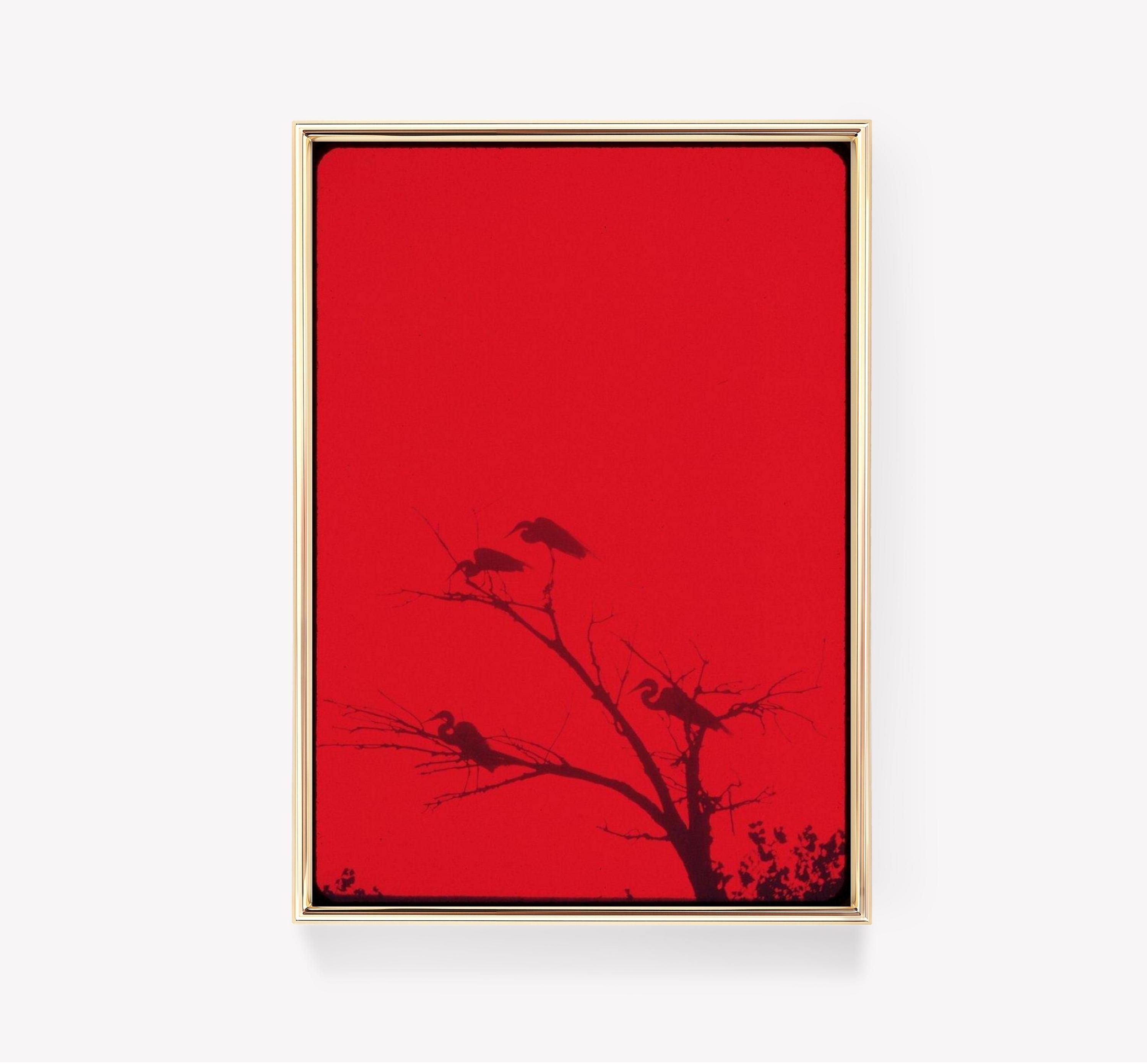 Birds On Tree Silhouette Trending Style Poster (No Frame)