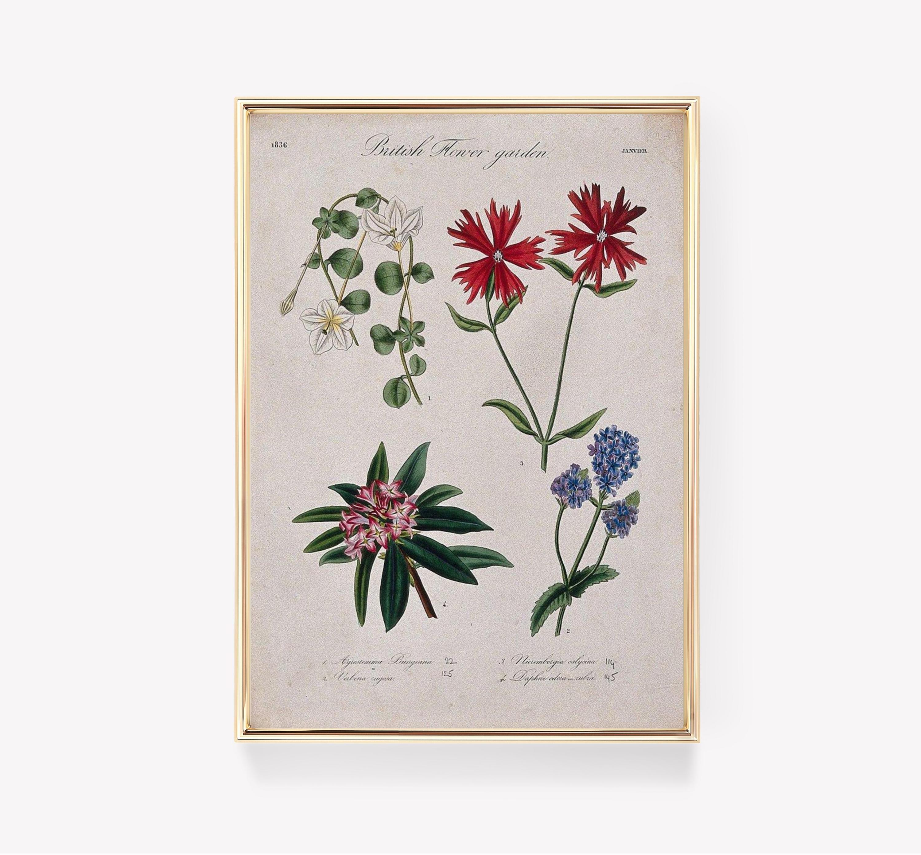 British Flower Art Trending Style Poster (No Frame) British Flower Art Trending Style Poster (No Frame)