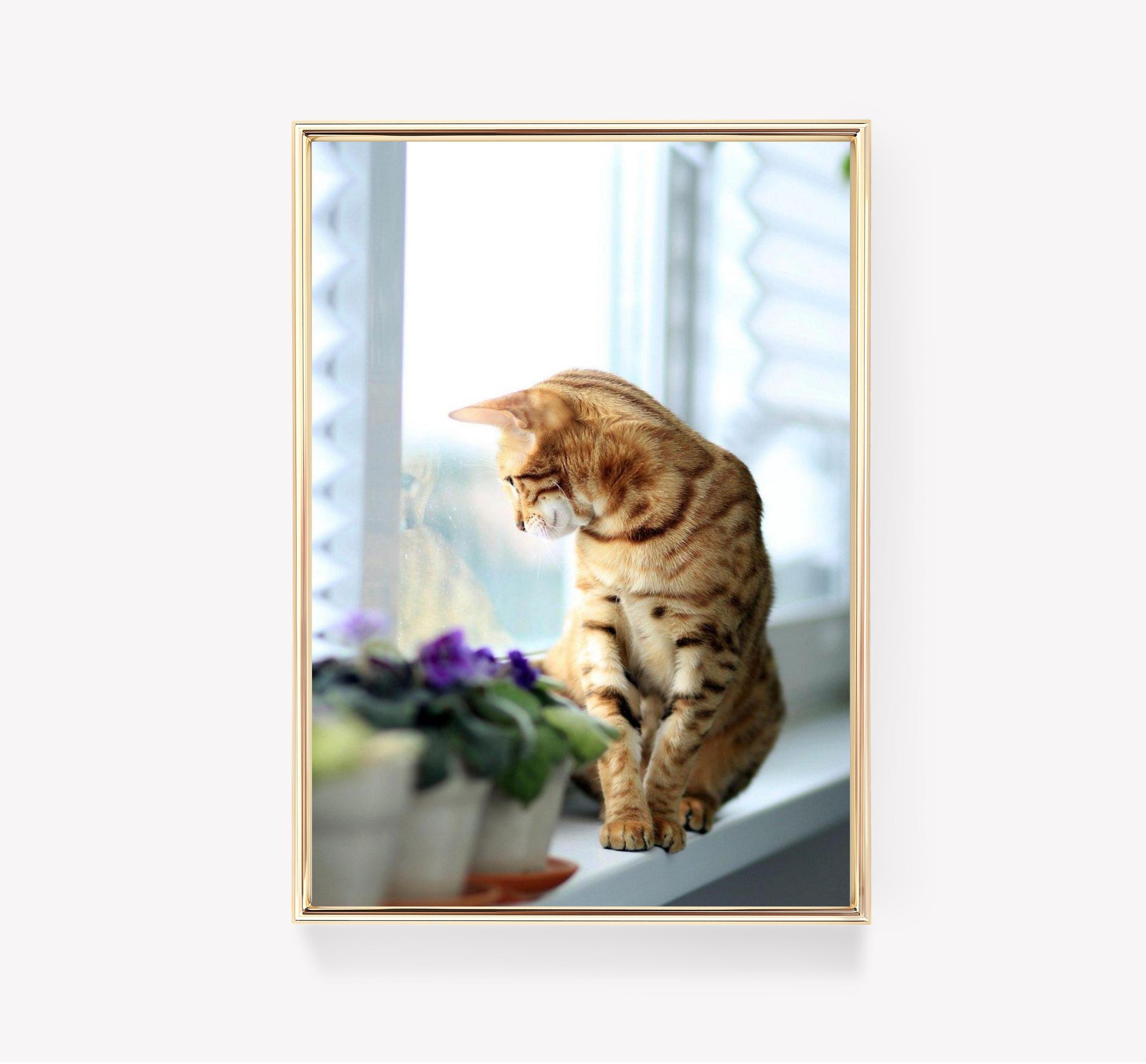 Cat On Windowsill Vintage Cat Awesome Poster (No Frame) Cat On Windowsill Vintage Cat Awesome Poster (No Frame)