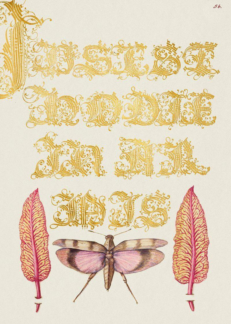 Botanical Insect Awesome Poster (No Frame)