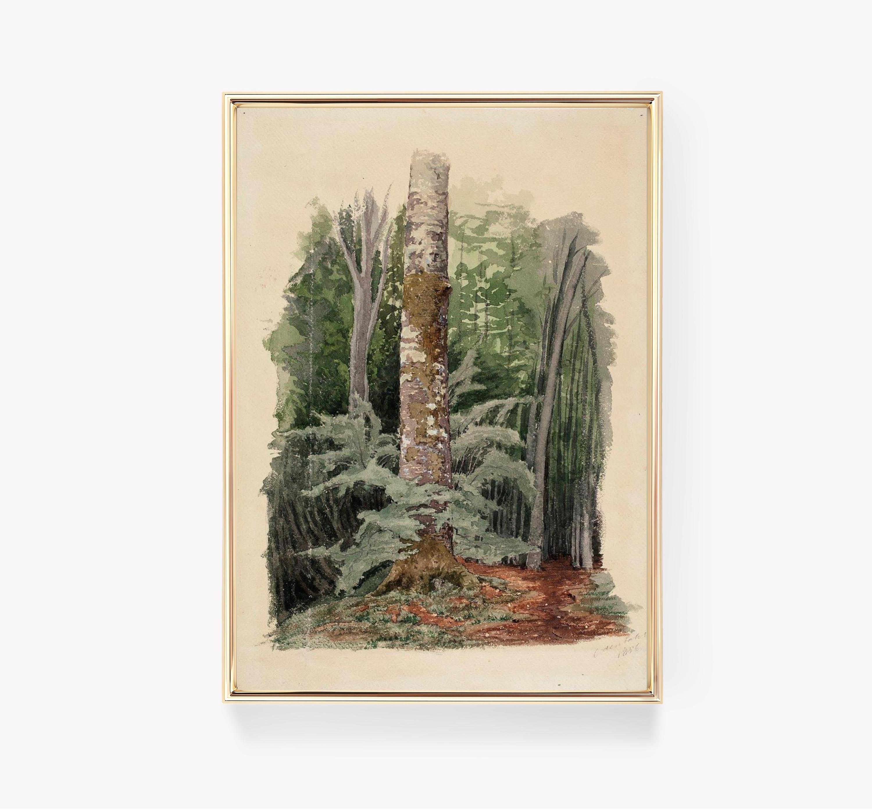 John Ruskin Tree 1856 Trending Style Poster (No Frame) John Ruskin Tree 1856 Trending Style Poster (No Frame)