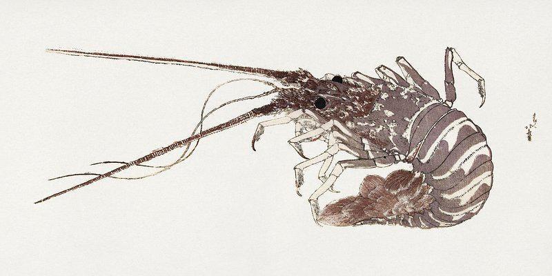 Katsushika Hokusai Lobster Japanese Art Awesome Poster (No Frame) Katsushika Hokusai Lobster Japanese Art Awesome Poster (No Frame)