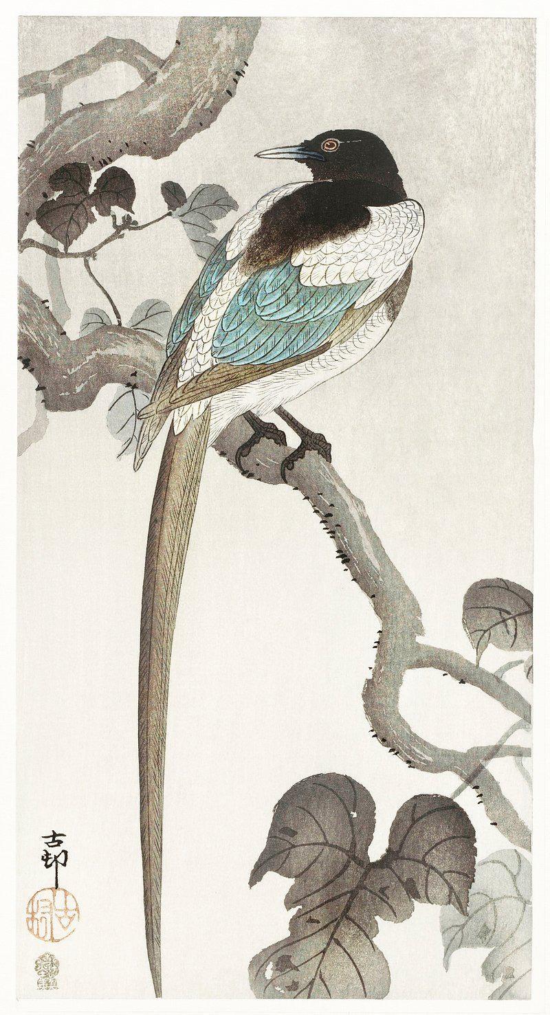 Ohara Koson Tree Magpie Limited Edition Posters (No Frame) Ohara Koson Tree Magpie Limited Edition Posters (No Frame)