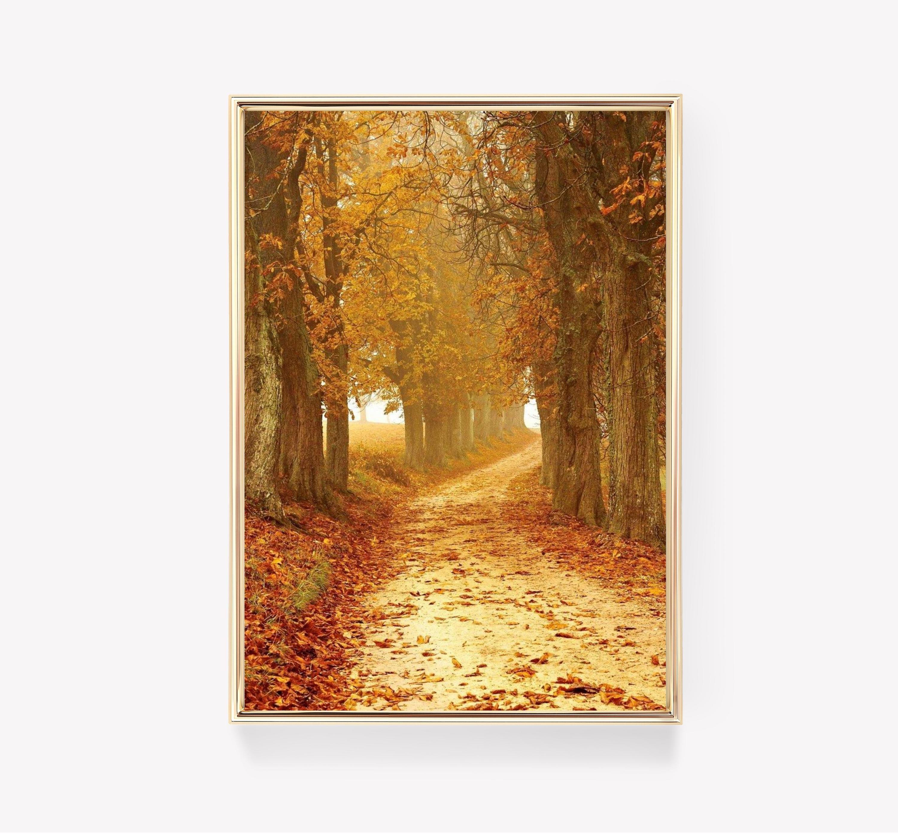 Autumn Path Trending Style Poster (No Frame) Autumn Path Trending Style Poster (No Frame)