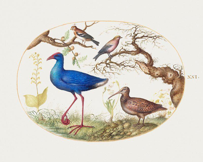 Bird Illustration 3 Awesome Poster (No Frame) Bird Illustration 3 Awesome Poster (No Frame)