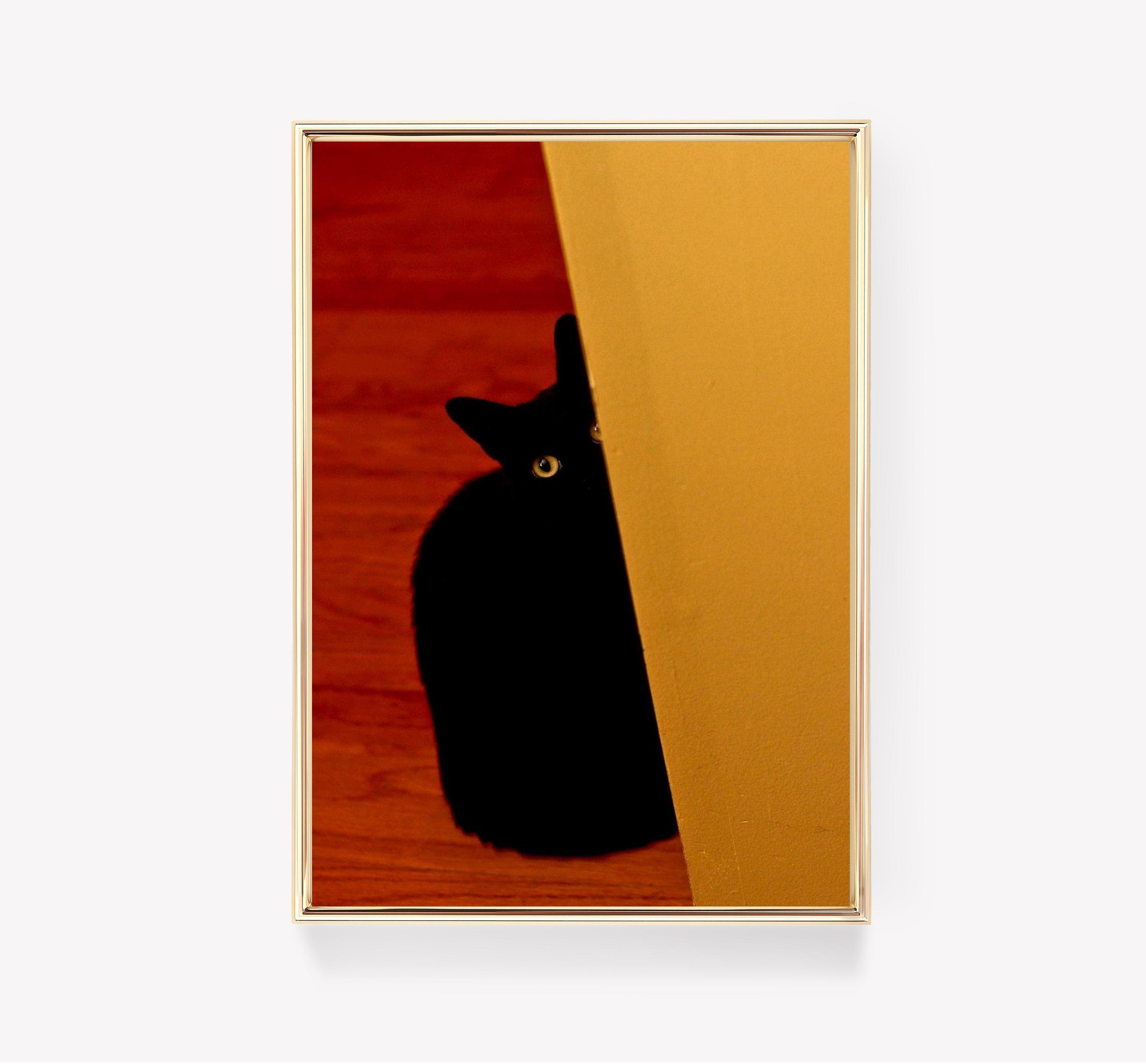 Black Cat Trending Style Poster (No Frame) Black Cat Trending Style Poster (No Frame)