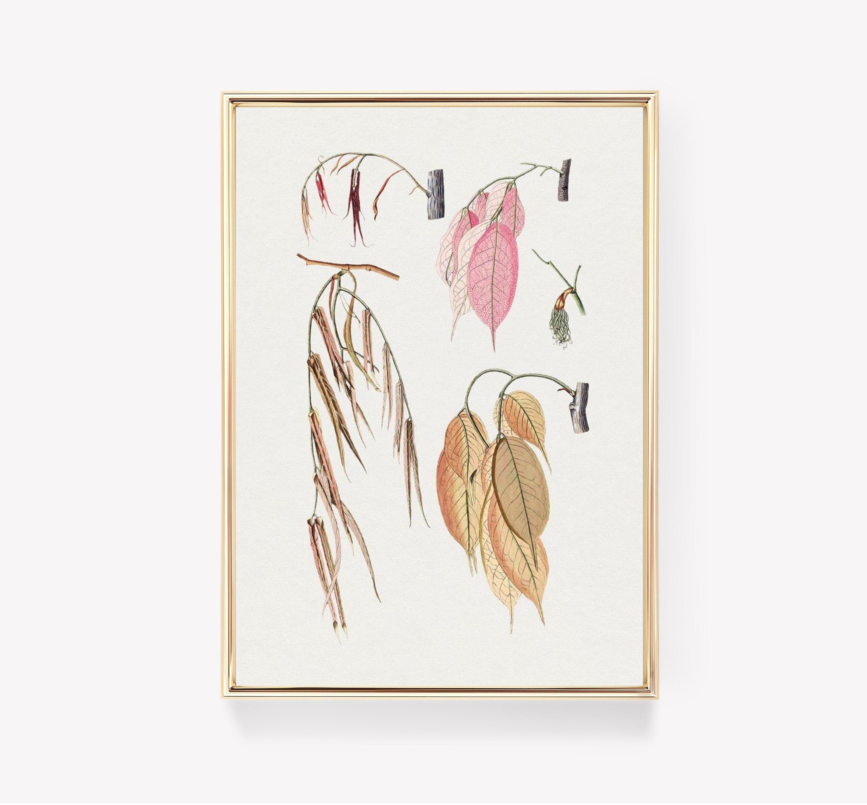 Botanical Foliage Limited Edition Posters (No Frame) Botanical Foliage Limited Edition Posters (No Frame)