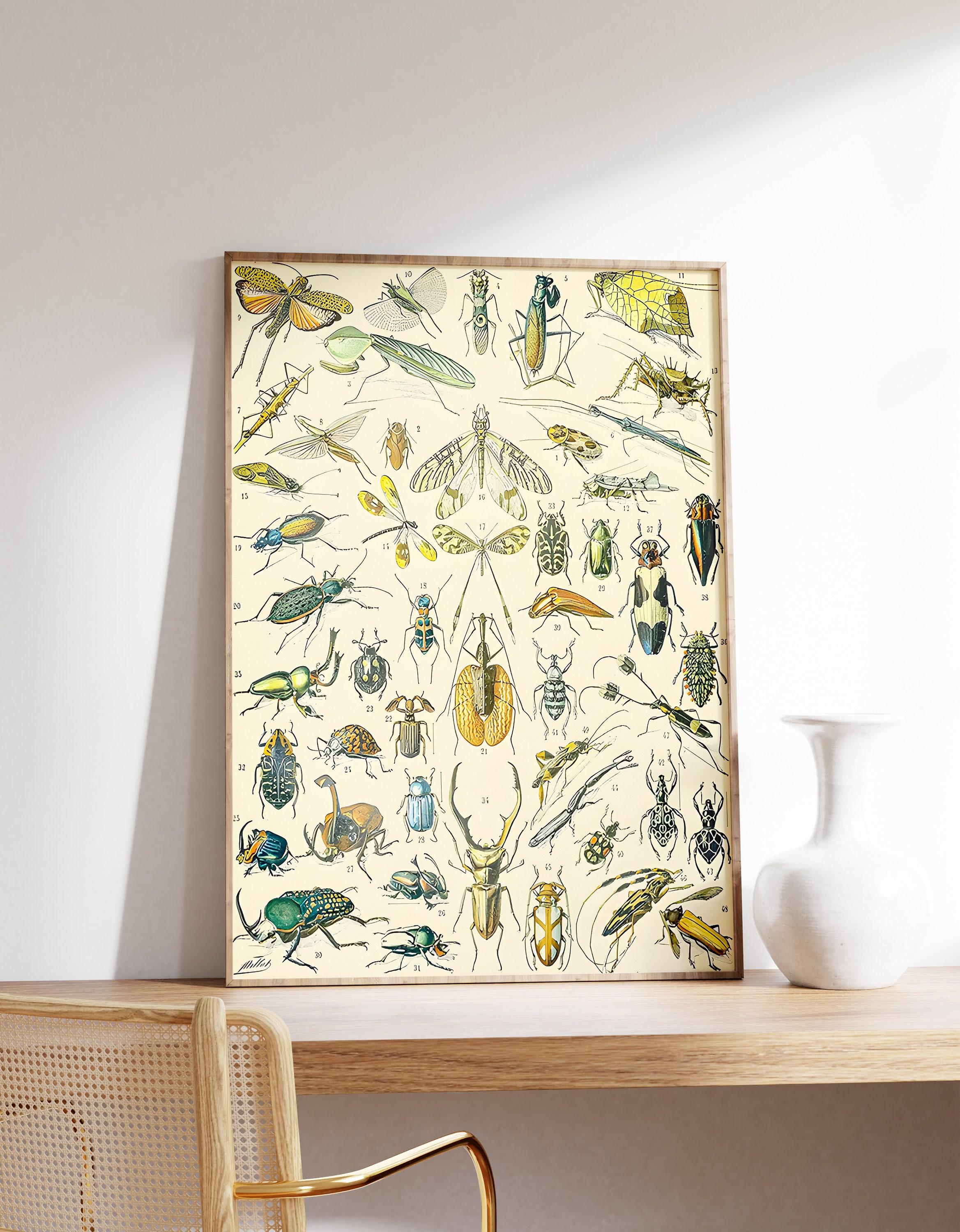 Bugs And Insect Drawing By Adolphe Millot Vintage Awesome Poster (No Frame) Bugs And Insect Drawing By Adolphe Millot Vintage Awesome Poster (No Frame)