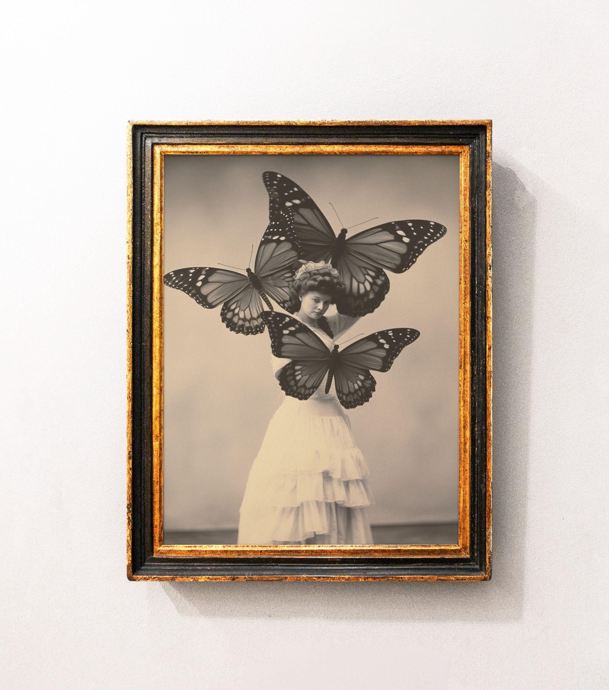 Butterflies In A Studio Vintage Photography Lycanthropy Art Limited Edition Posters (No Frame) Butterflies In A Studio Vintage Photography Lycanthropy Art Limited Edition Posters (No Frame)