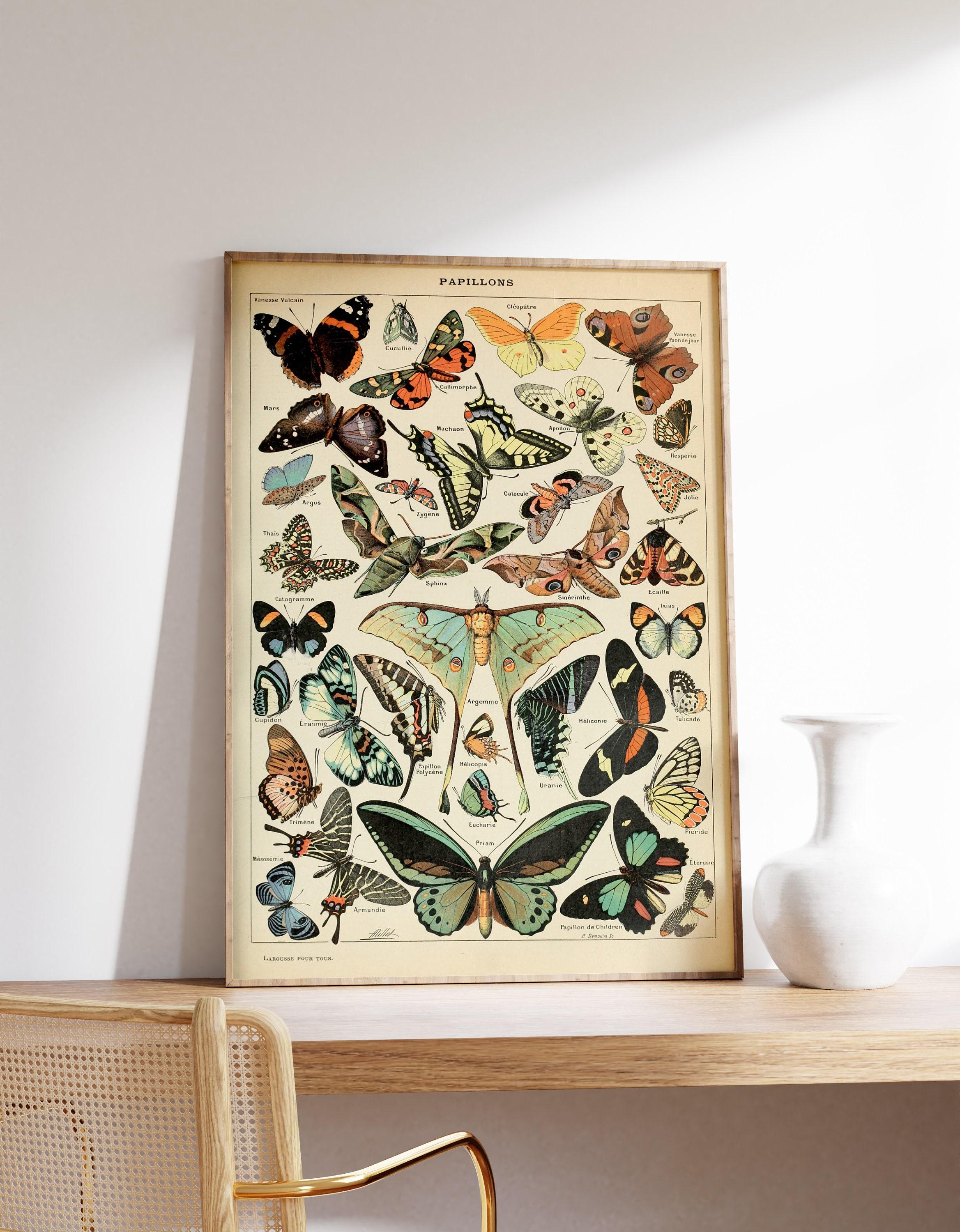 Butterfly Art Adolphe Millot Papillions Ii Cottagecore Decor Vintage Awesome Poster (No Frame) Butterfly Art Adolphe Millot Papillions Ii Cottagecore Decor Vintage Awesome Poster (No Frame)