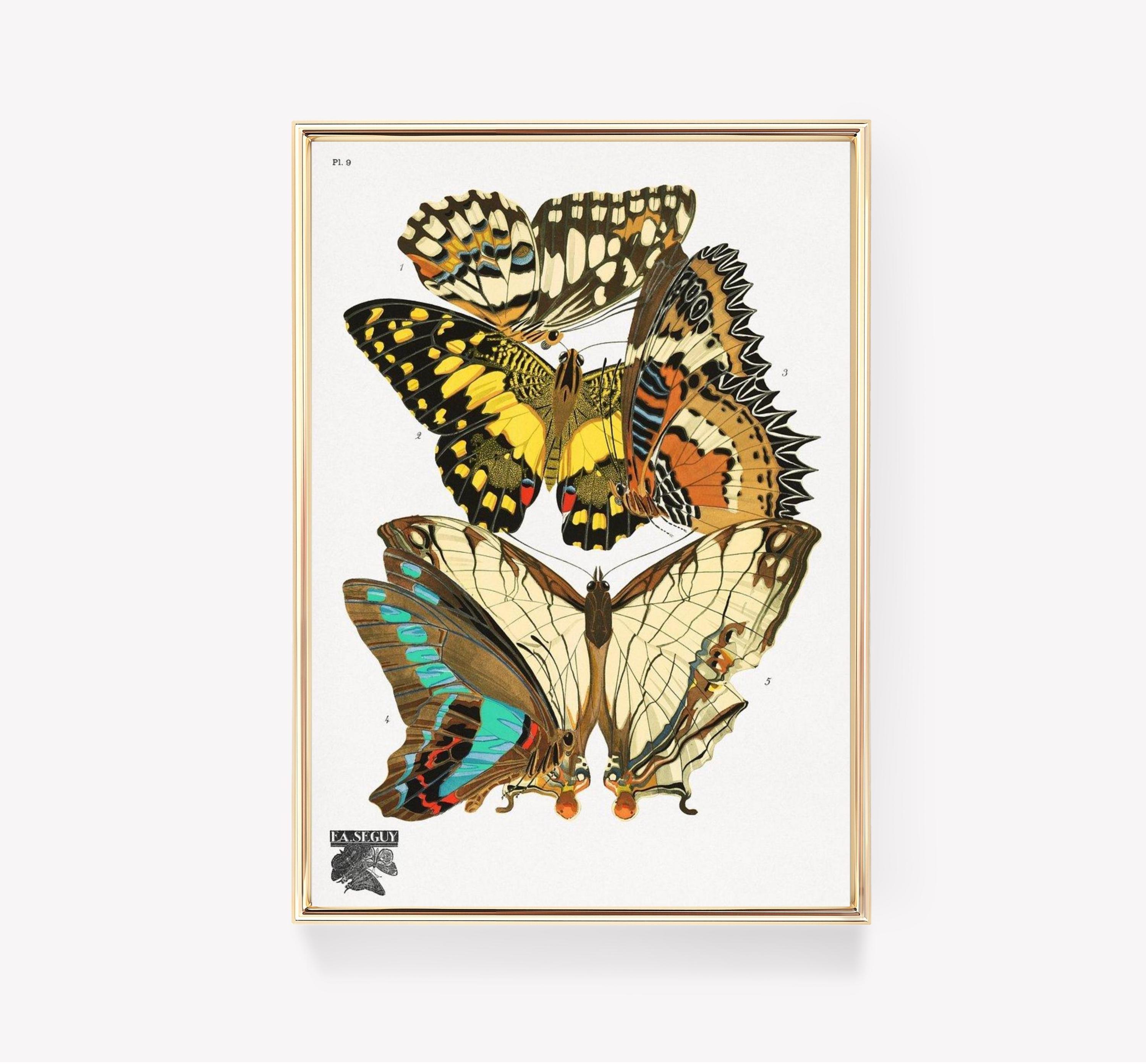 E A Seguy Papillons Vintage Butterfly Art Butterfly Trending Style Poster (No Frame) E A Seguy Papillons Vintage Butterfly Art Butterfly Trending Style Poster (No Frame)