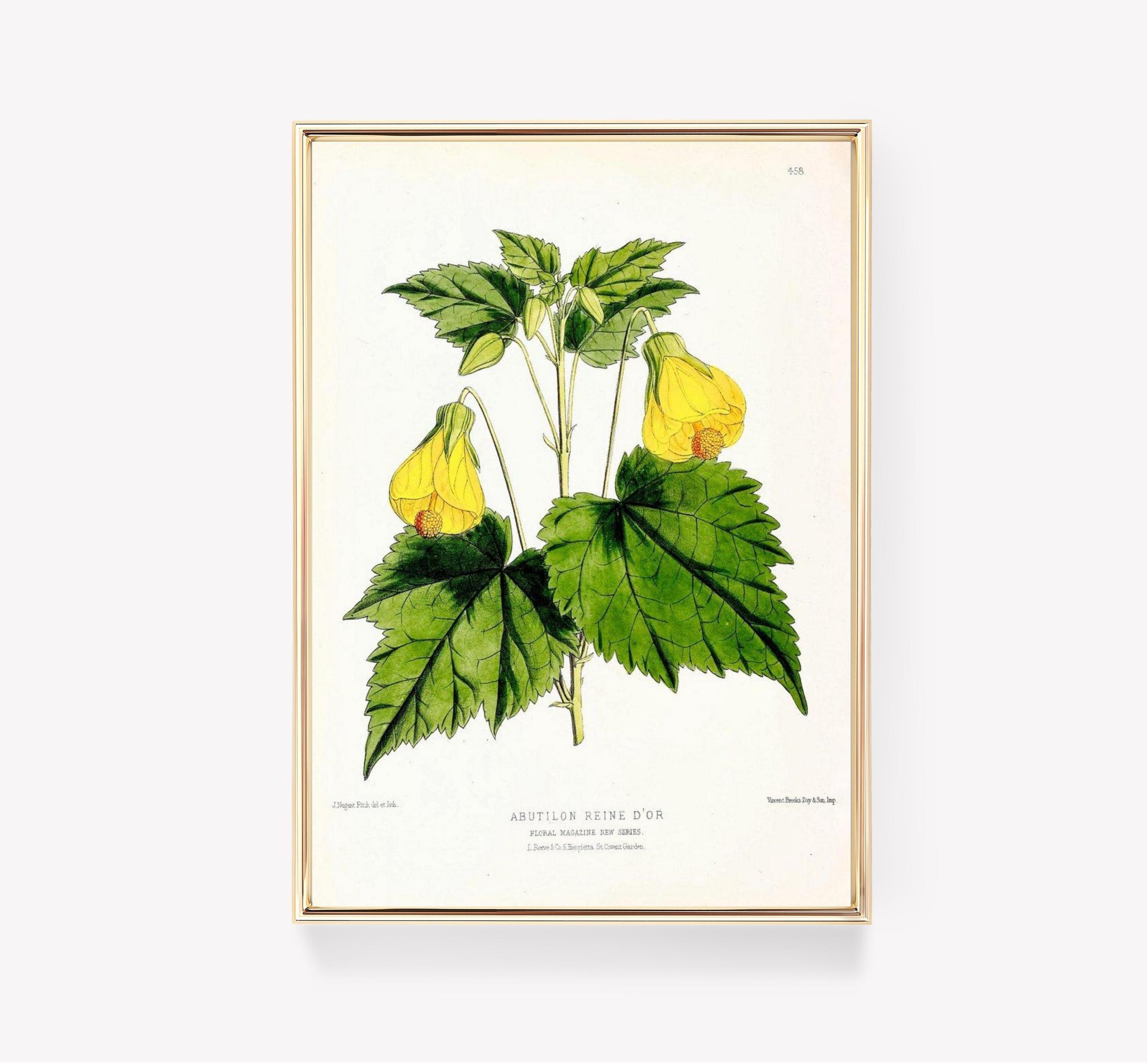 James Andrews Trending Style Poster (No Frame) James Andrews Trending Style Poster (No Frame)