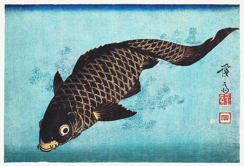 Japanese Carp Art Swim Among Weeds Utagawa Hiroshige Vintage Limited Edition Posters (No Frame) Japanese Carp Art Swim Among Weeds Utagawa Hiroshige Vintage Limited Edition Posters (No Frame)