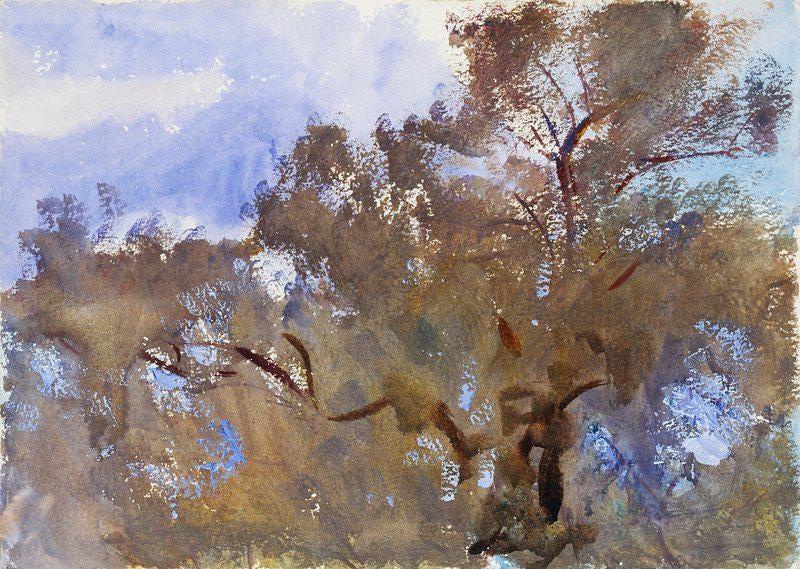 John Singer Sargent Olives Olive Tree Awesome Poster (No Frame) John Singer Sargent Olives Olive Tree Awesome Poster (No Frame)