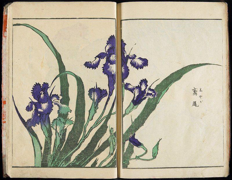 Katsushika Hokusai 23 Trending Style Poster (No Frame) Katsushika Hokusai 23 Trending Style Poster (No Frame)