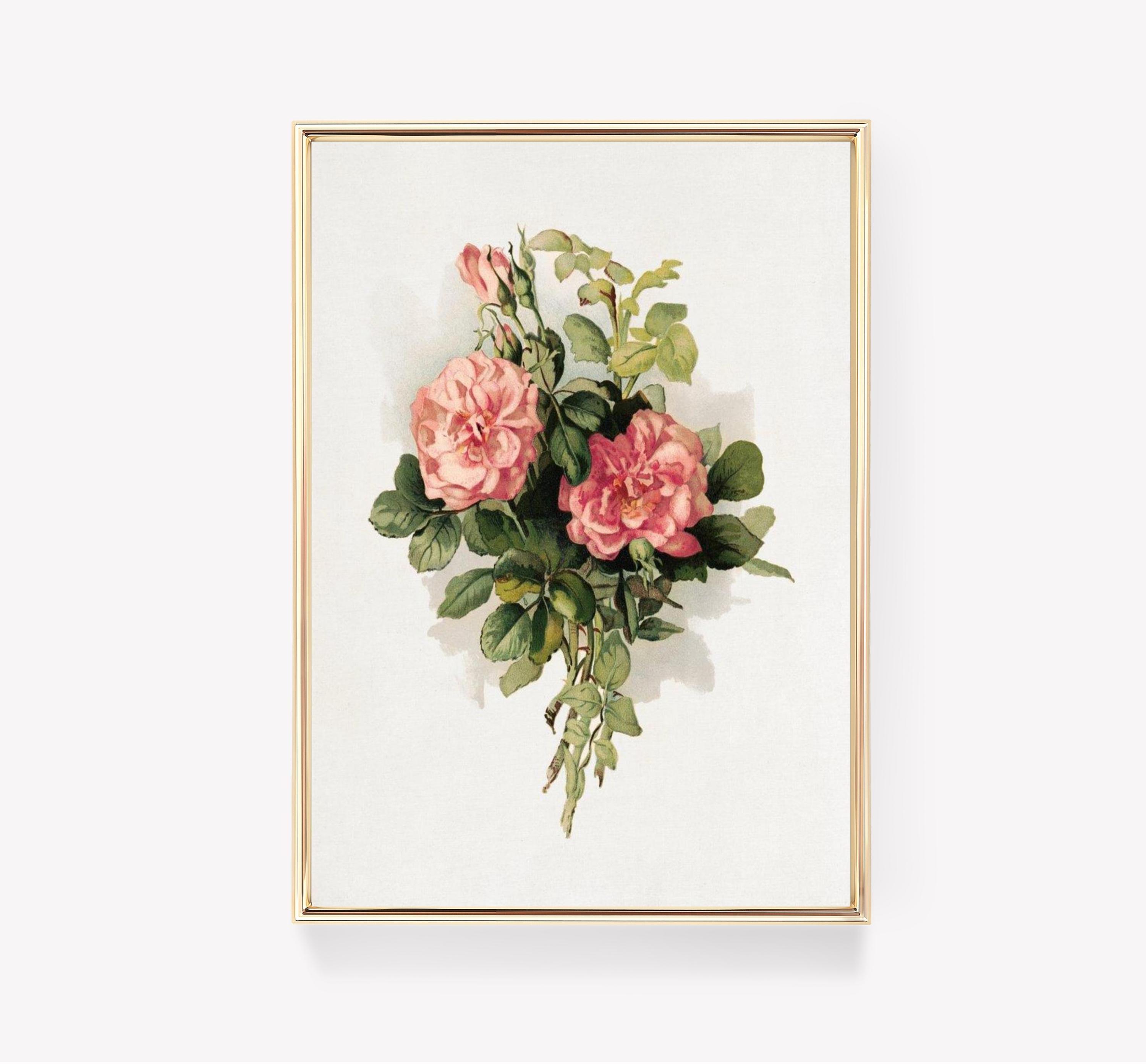 Pink Roses 2 Limited Edition Posters (No Frame) Pink Roses 2 Limited Edition Posters (No Frame)