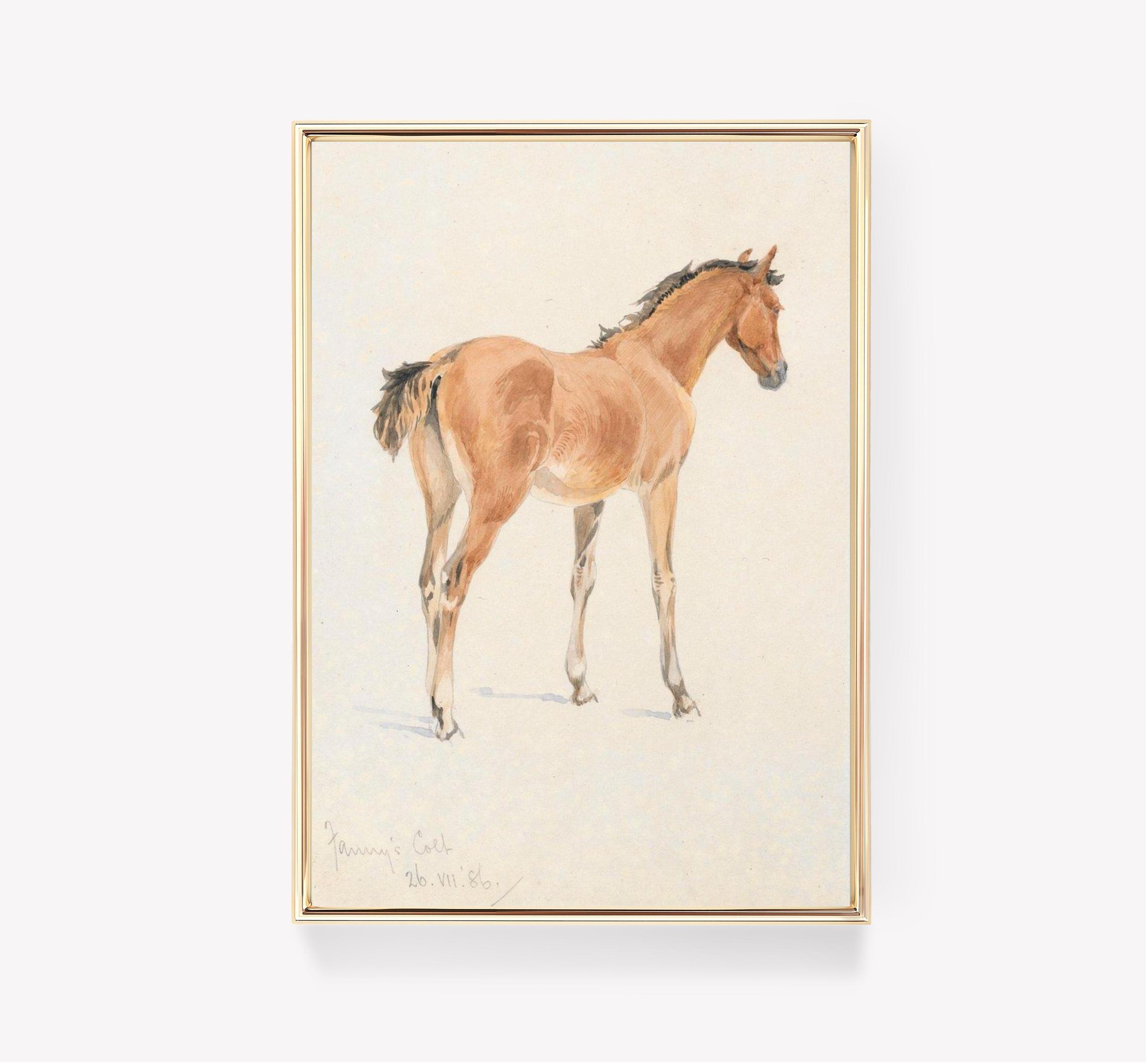 Rosa Bonheur Limited Edition Posters (No Frame)