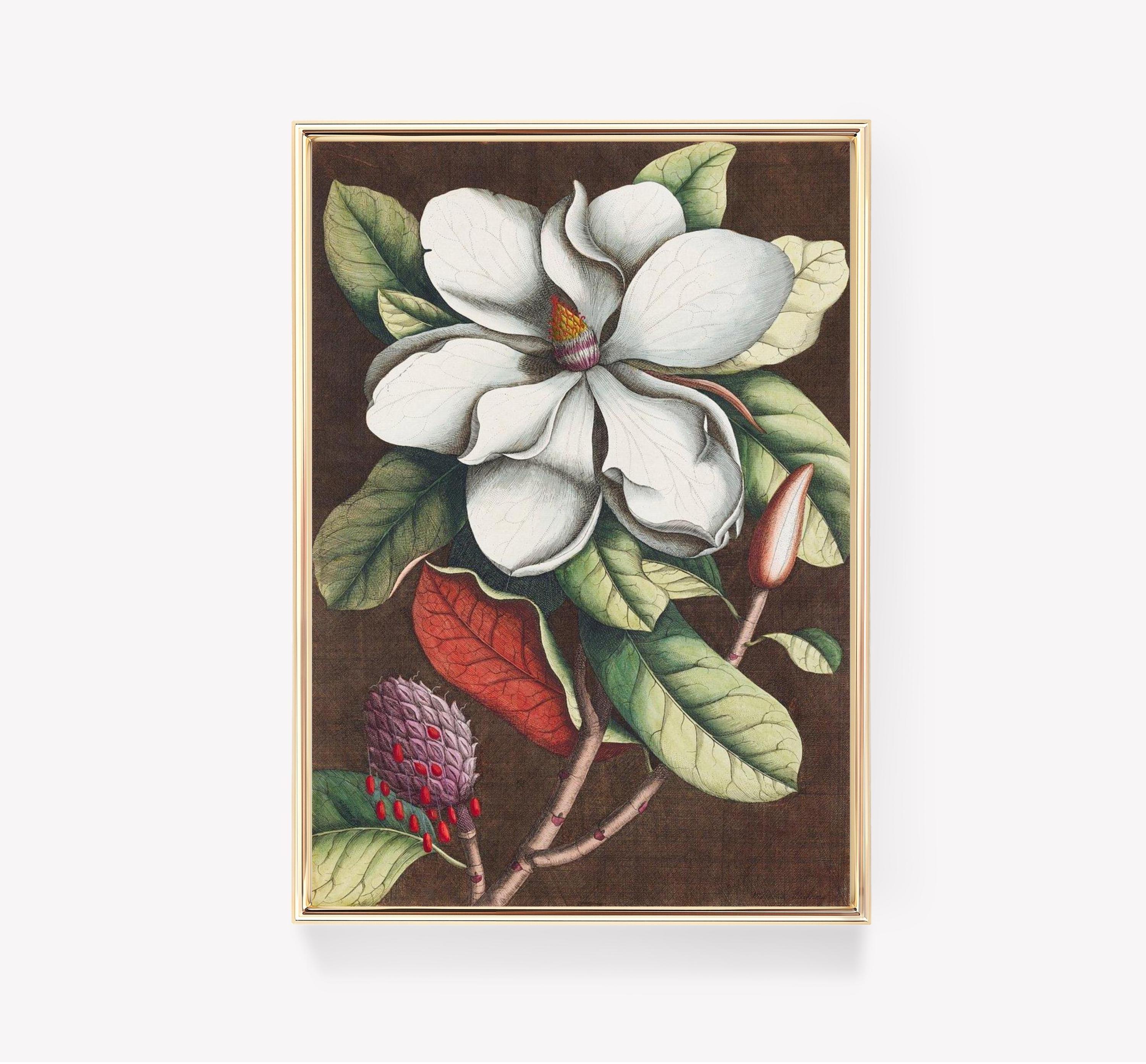 Sellow Magnolia Flower Art Vintage Awesome Poster (No Frame)