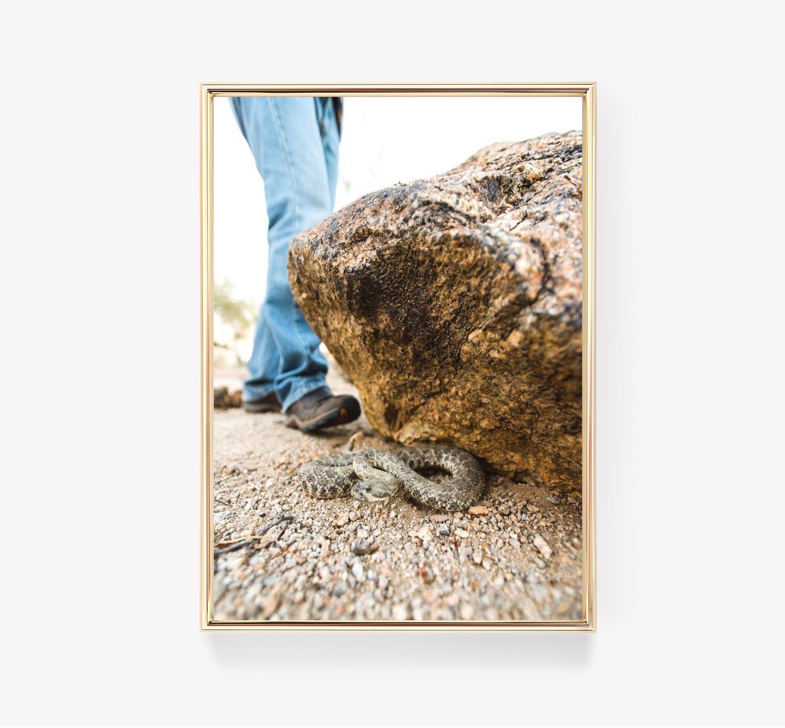 Snake Rock Foot In View Vintage Limited Edition Posters (No Frame)