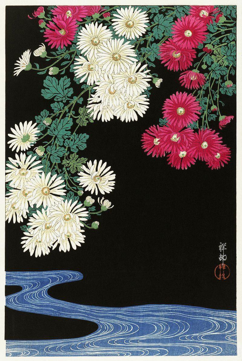 Chrysanthemums Stream Art Chichir Yamada Floral Limited Edition Posters (No Frame) Chrysanthemums Stream Art Chichir Yamada Floral Limited Edition Posters (No Frame)
