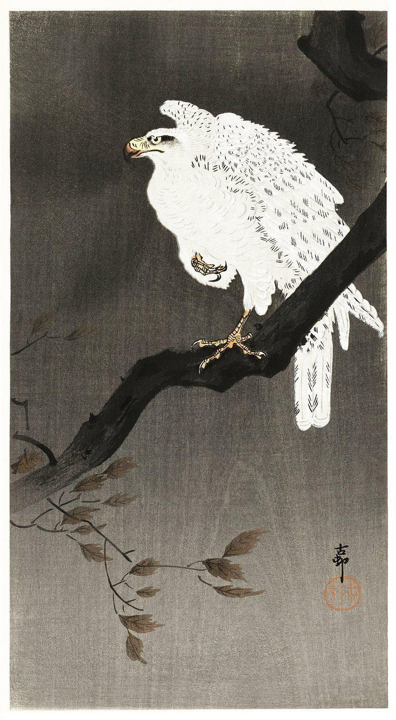Eagle On A Branch Hokusai Art Japanese Limited Edition Posters (No Frame) Eagle On A Branch Hokusai Art Japanese Limited Edition Posters (No Frame)