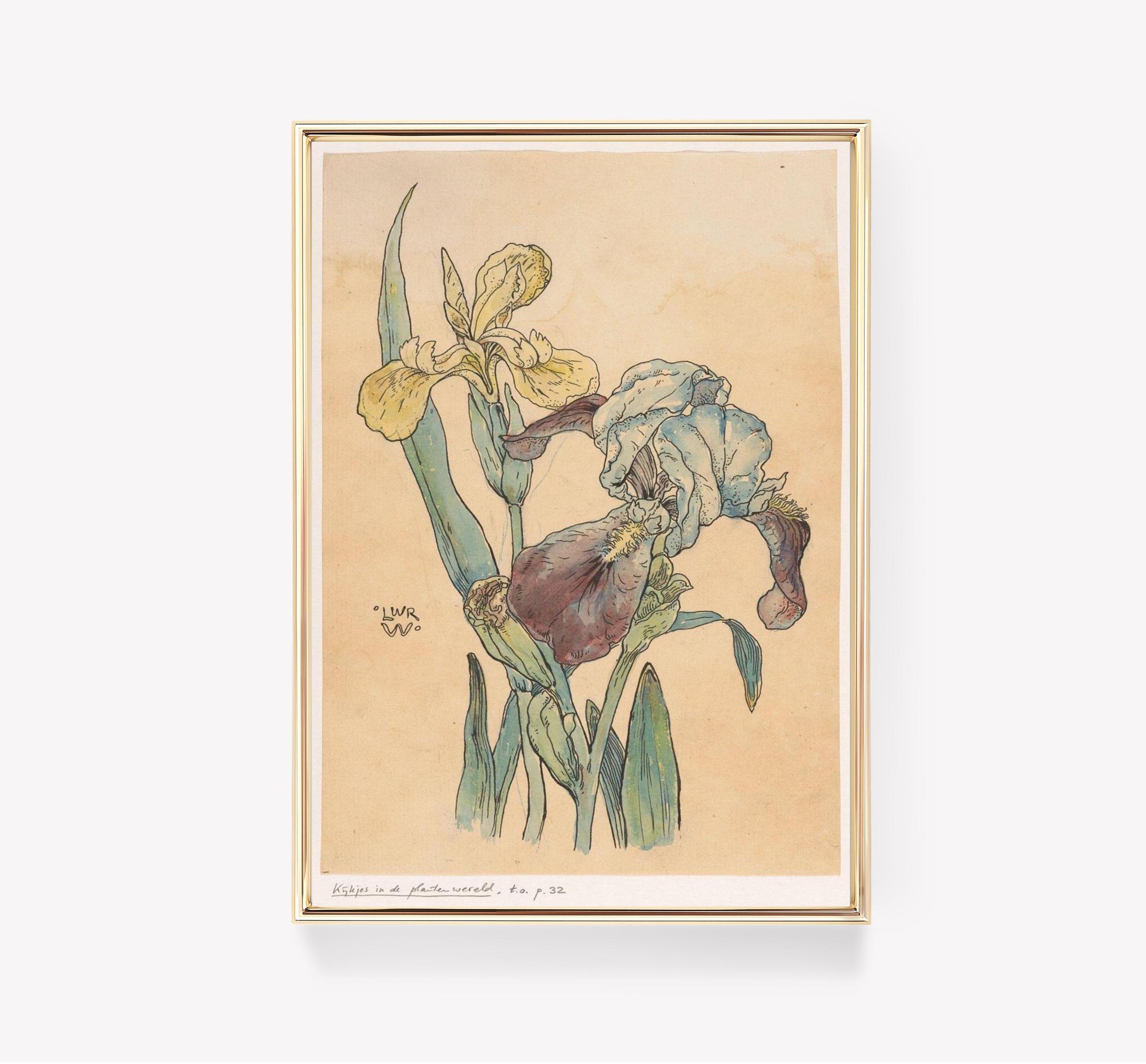 Irises Trending Style Poster (No Frame) Irises Trending Style Poster (No Frame)