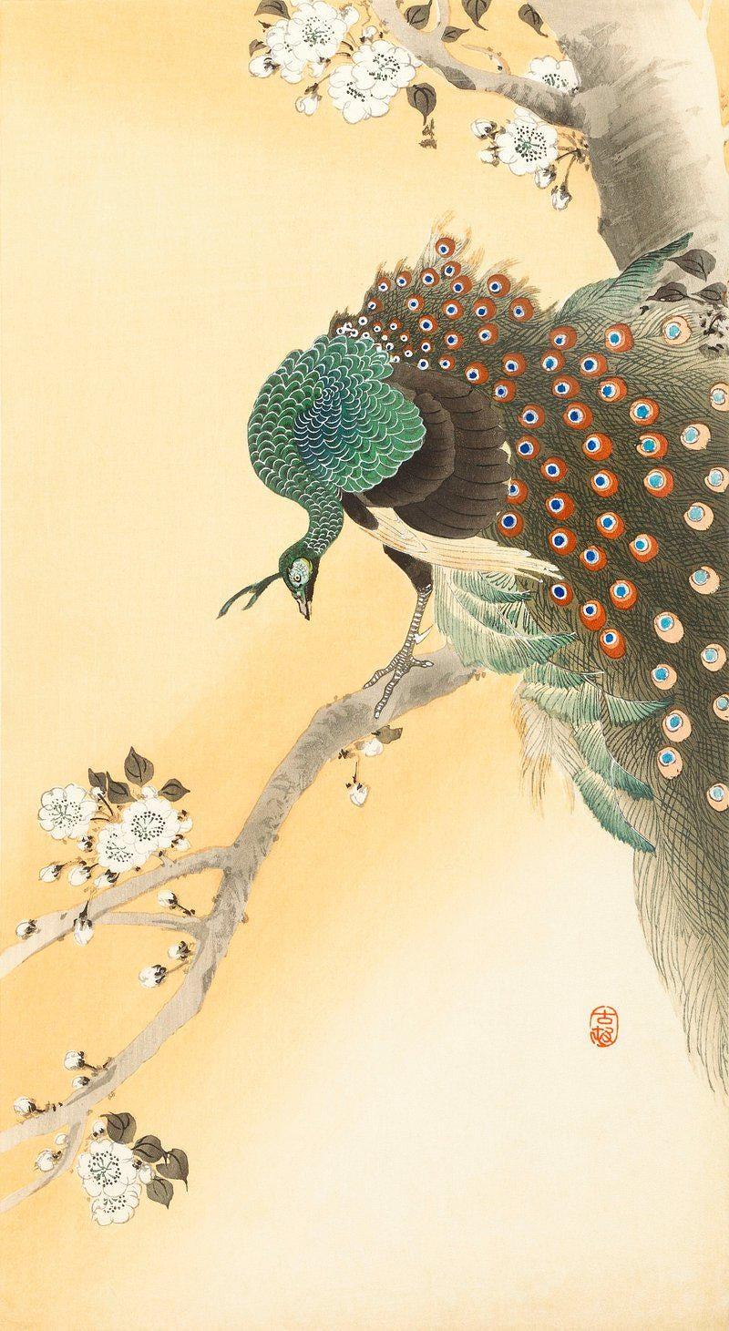 Ito Jakuchu Peacock Cherry Tree Art Vintage Peacock Awesome Poster (No Frame) Ito Jakuchu Peacock Cherry Tree Art Vintage Peacock Awesome Poster (No Frame)