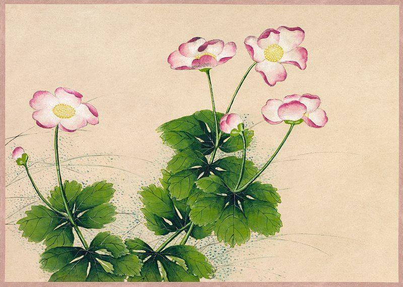 Japanese Anemones Shibata Zeshin Art 1870s Awesome Poster (No Frame) Japanese Anemones Shibata Zeshin Art 1870s Awesome Poster (No Frame)