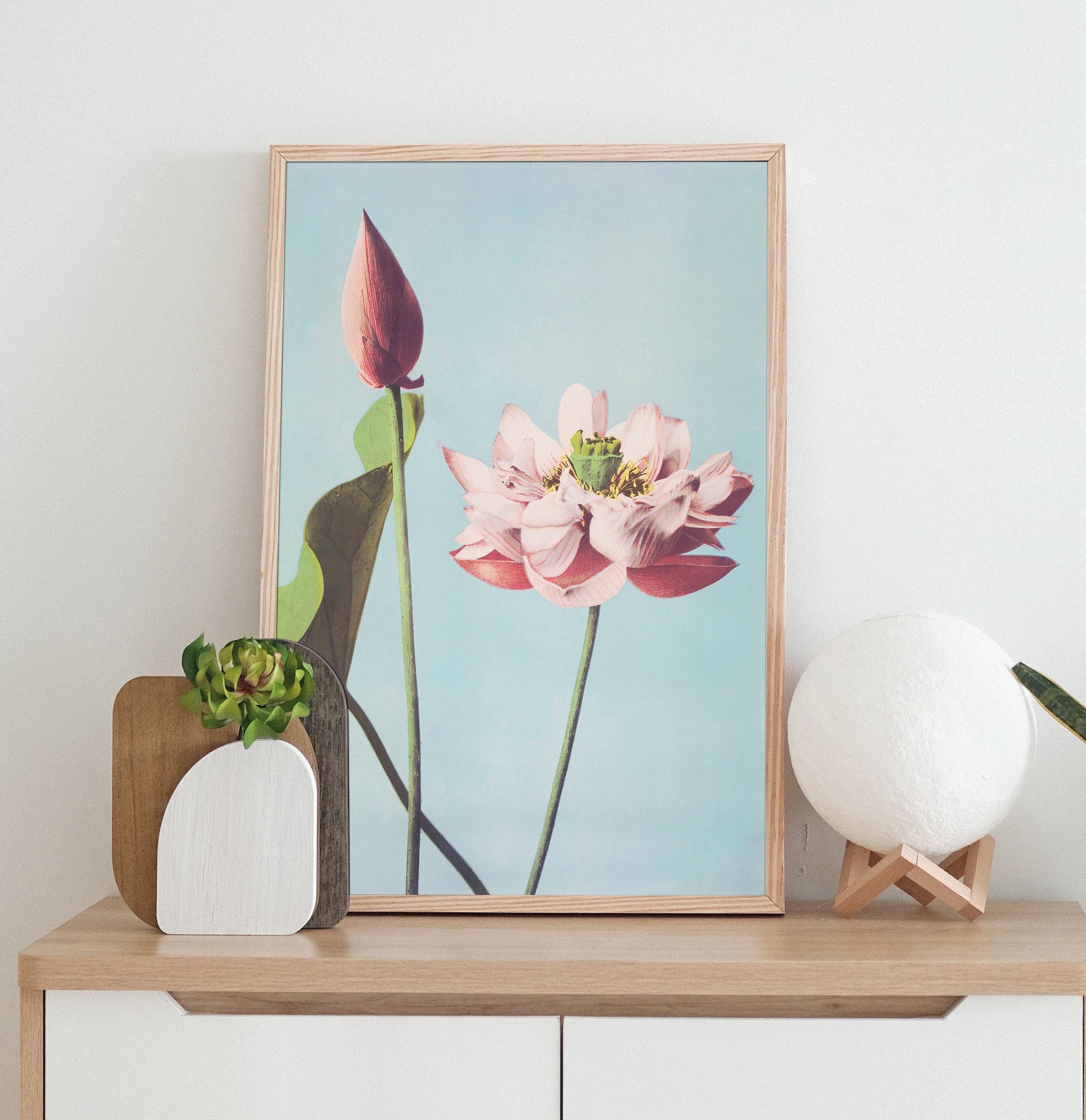 Lotus Flowers Awesome Poster (No Frame) Lotus Flowers Awesome Poster (No Frame)