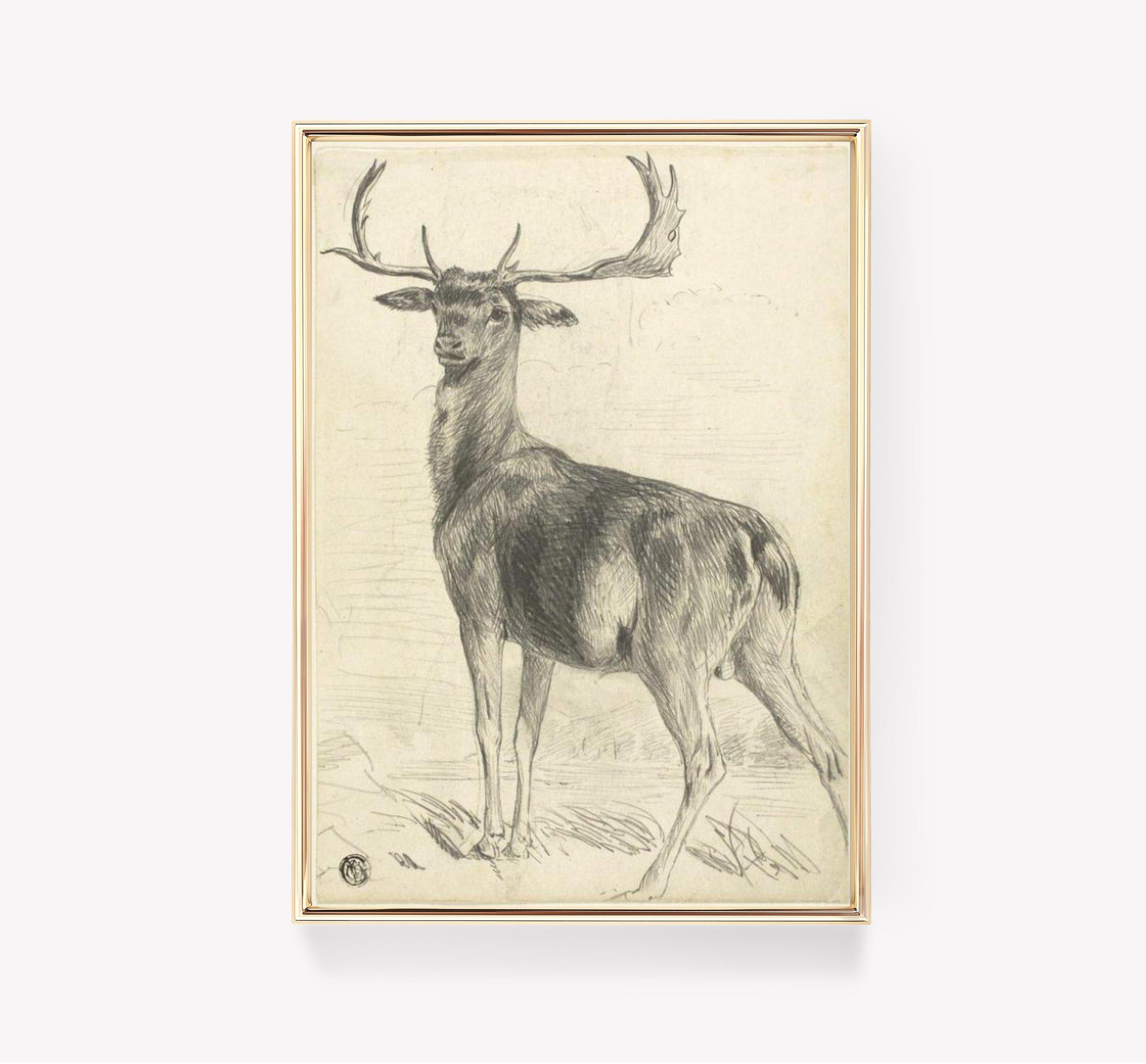 Picasso Deer Limited Edition Posters (No Frame) Picasso Deer Limited Edition Posters (No Frame)