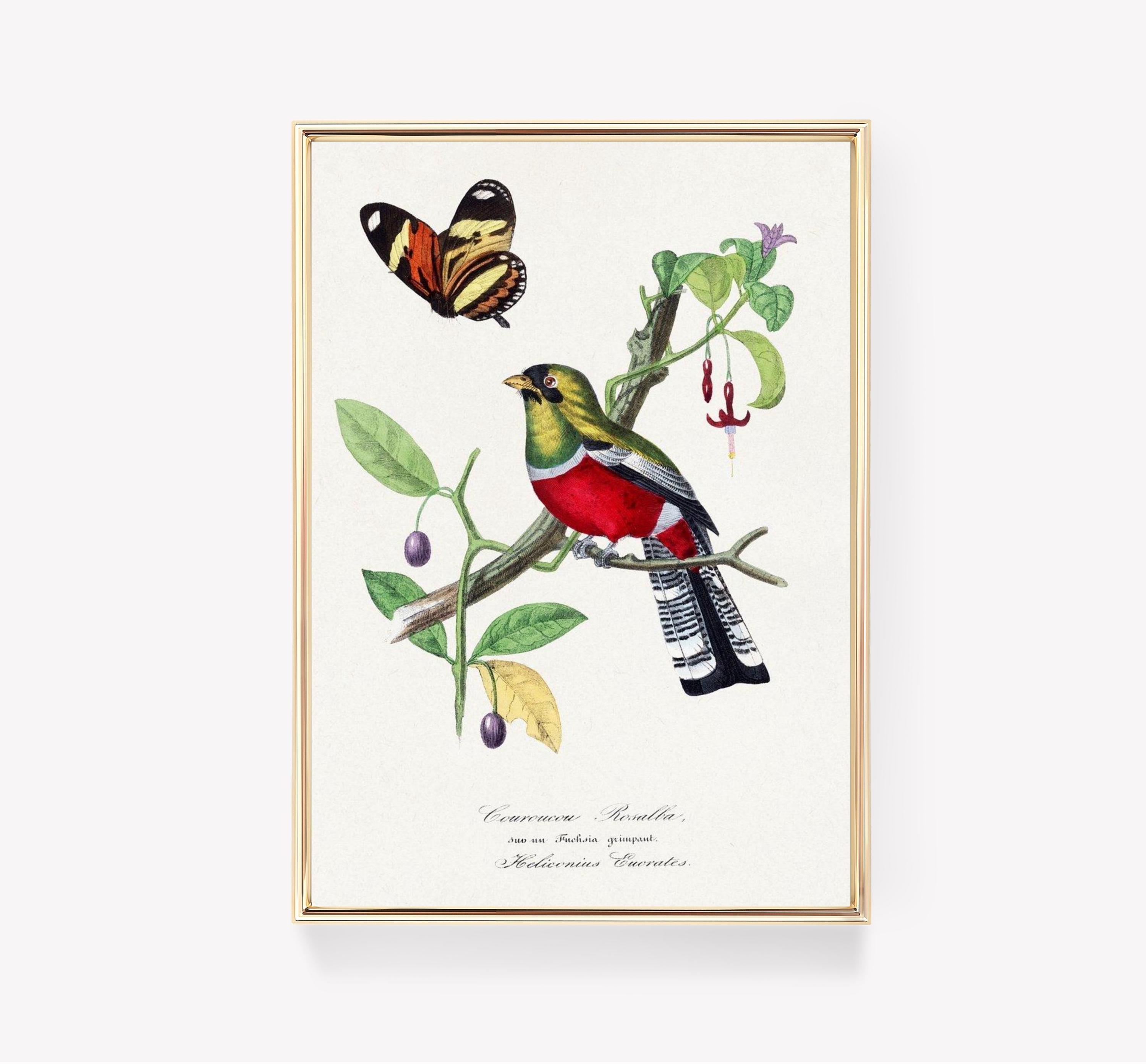 Vintage Bird 4 Awesome Poster (No Frame) Vintage Bird 4 Awesome Poster (No Frame)