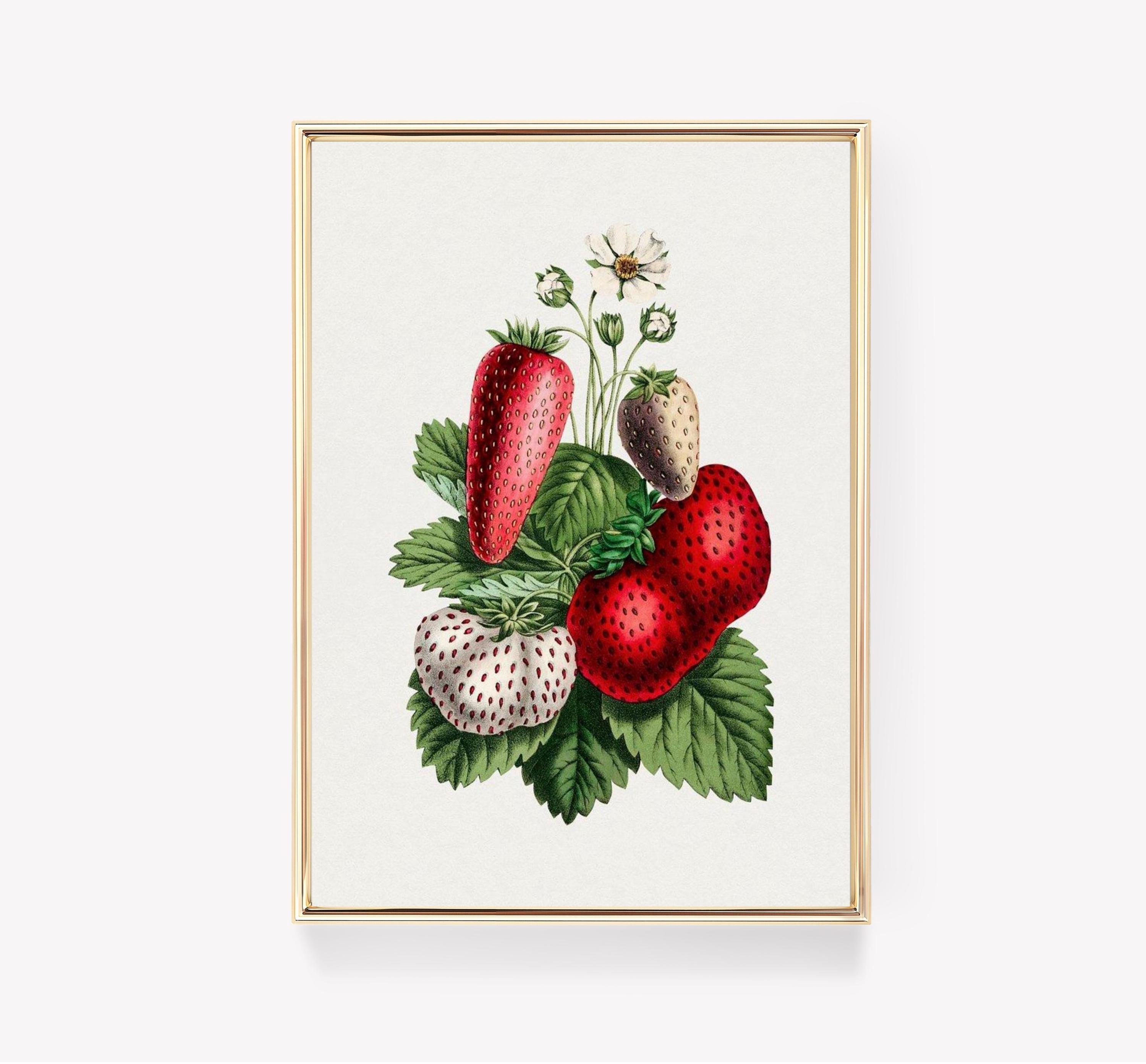 Strawberry Awesome Poster (No Frame) Strawberry Awesome Poster (No Frame)