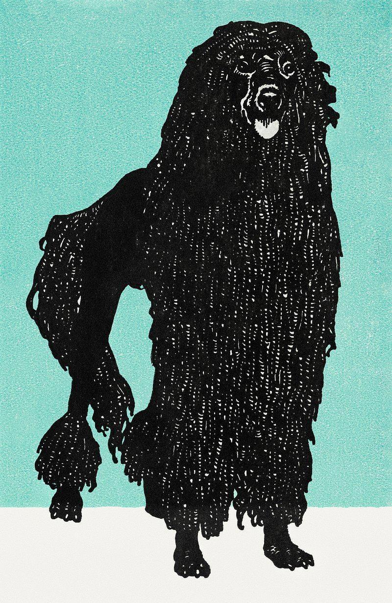 Florence Broadhurst Poodle Vintage Dog Limited Edition Posters (No Frame) Florence Broadhurst Poodle Vintage Dog Limited Edition Posters (No Frame)