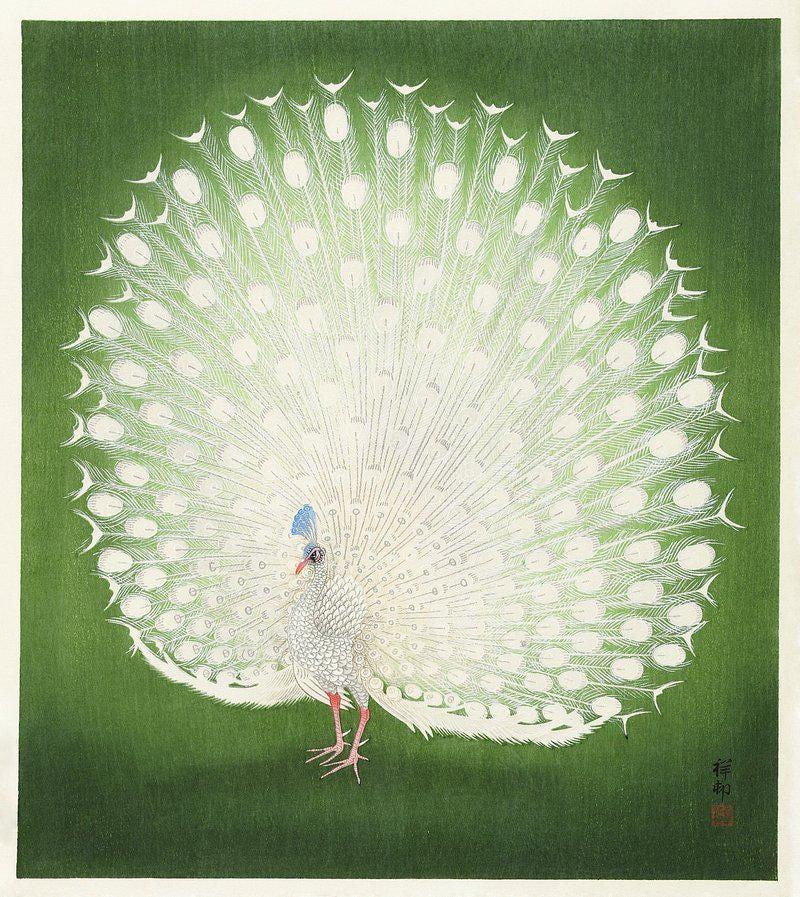 Ohara Koson White Peacock Vintage 2 Trending Style Poster (No Frame) Ohara Koson White Peacock Vintage 2 Trending Style Poster (No Frame)