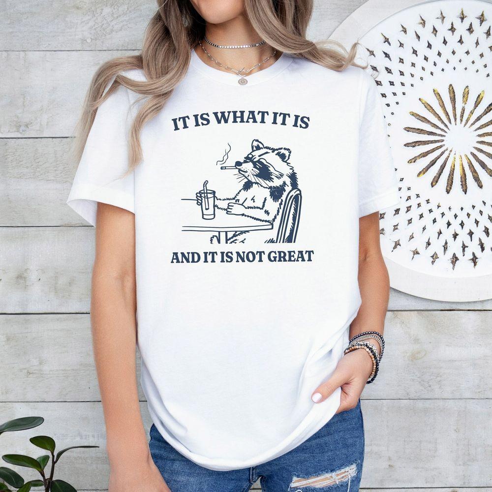 It Is What It Is And It Is Not Great 10 Shirt It Is What It Is And It Is Not Great 10 Shirt