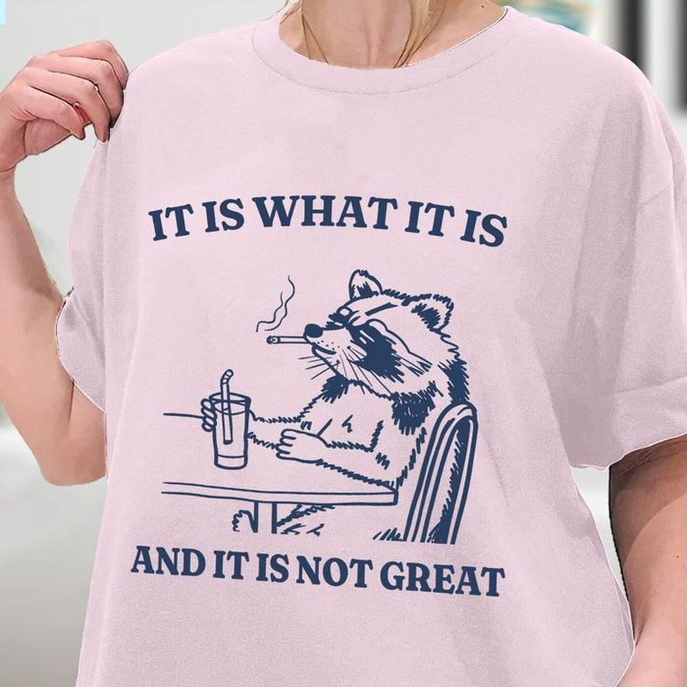 It Is What It Is And It Is Not Great Funny Raccoon Meme Awesome Shirt It Is What It Is And It Is Not Great Funny Raccoon Meme Awesome Shirt
